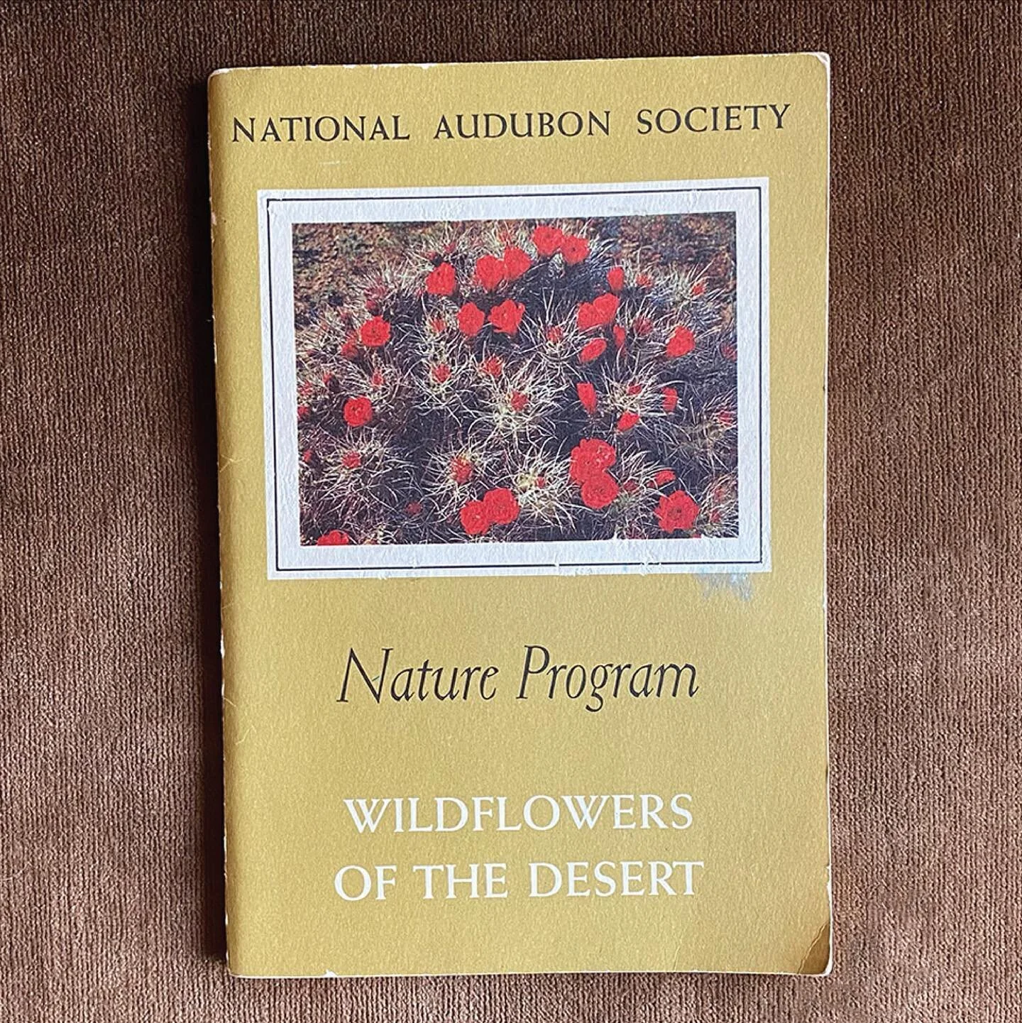 Flowers find a way

Wildflowers Of The Desert, 1955
National Audubon Society Nature Program
By Elise &amp; Alexander Klots

#saguaro #desert #cactus #wildmorningglory #morningglory #strawberrycactus #desertdaisy #grizzlybearcactus #goldengilia #gilia
