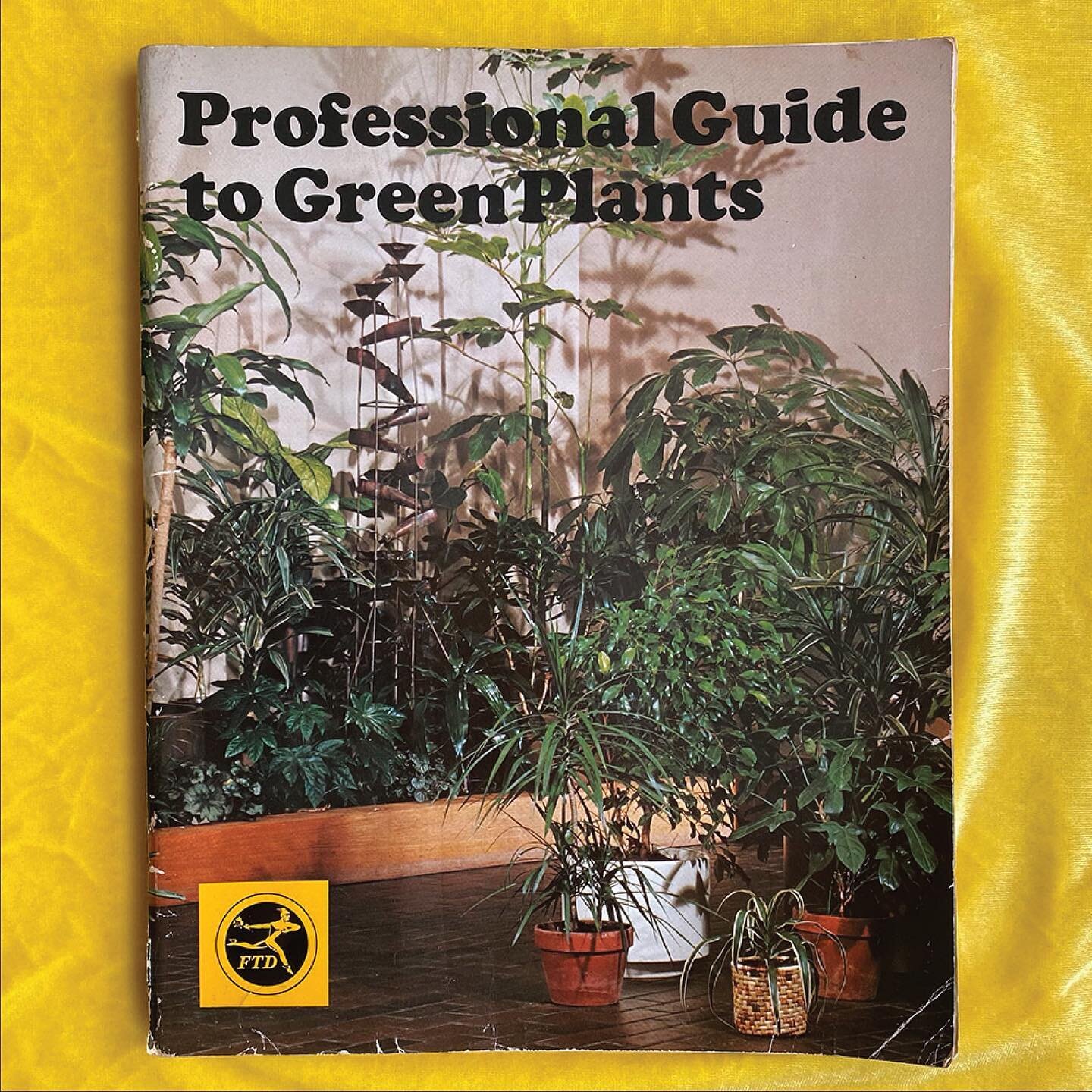 Small dog, giant dumbcane 

Professional Guide To Green Plants, 1976
Florists&rsquo; Transworld Delivery Association

#maranta #prayerplant #begonia #ardisia #dumbcane #rattan #parlorpalm #jade #montsera #montseradeliciosa #chineseevergreen #silverev