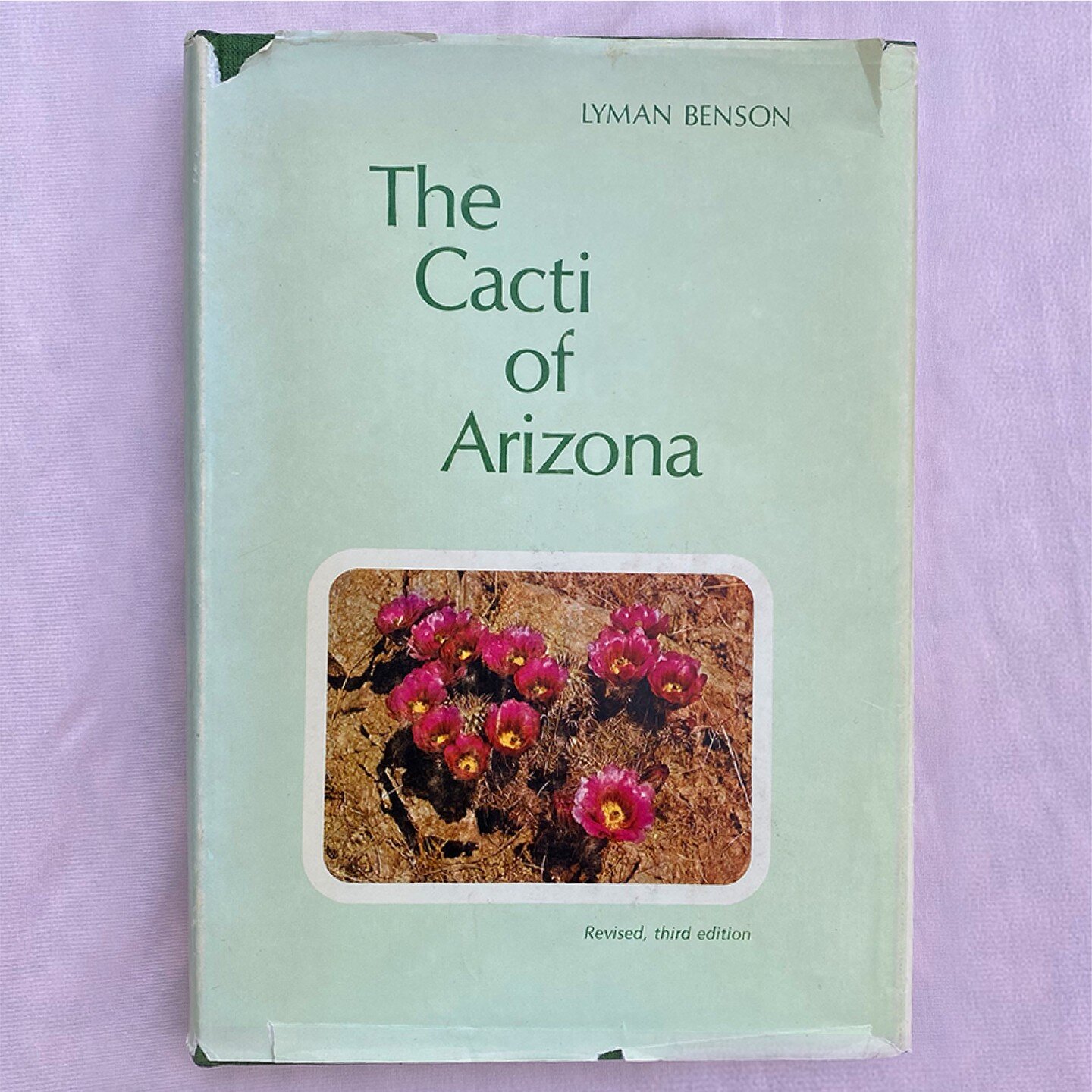 The Cacti of Arizona
The University of Arizona Press, 1969
By Lyman Benson

#saguaro #hedgehogcactus #echinocereus #mammillaria #cereusgiganteus #chollas #opuntia #pricklypear #barrelcactus #ferocactus #arizona #cactus #plants #books #vintageplantboo