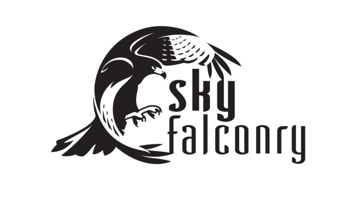 SkyFalconry.jpg