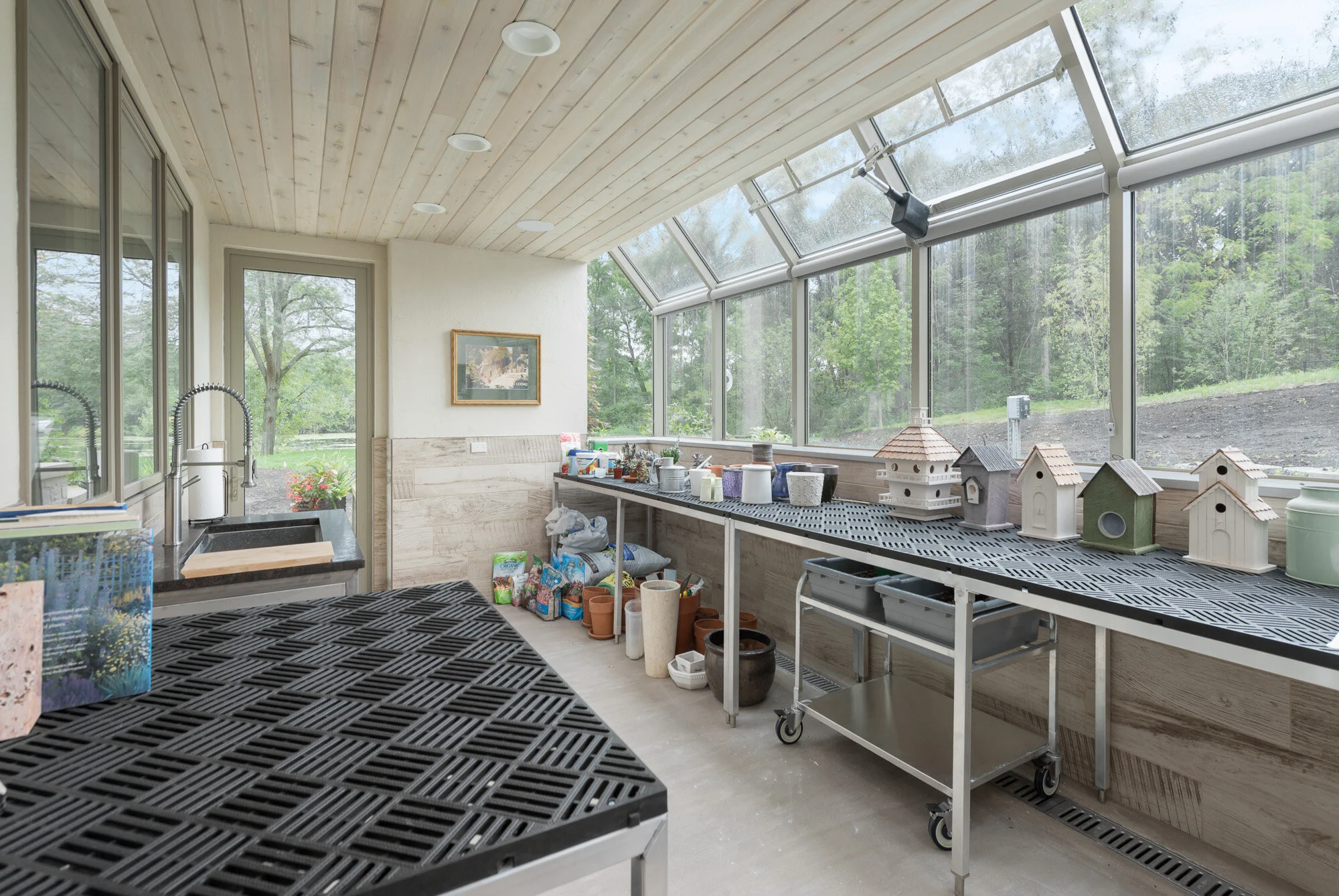 Greenhouse.jpg