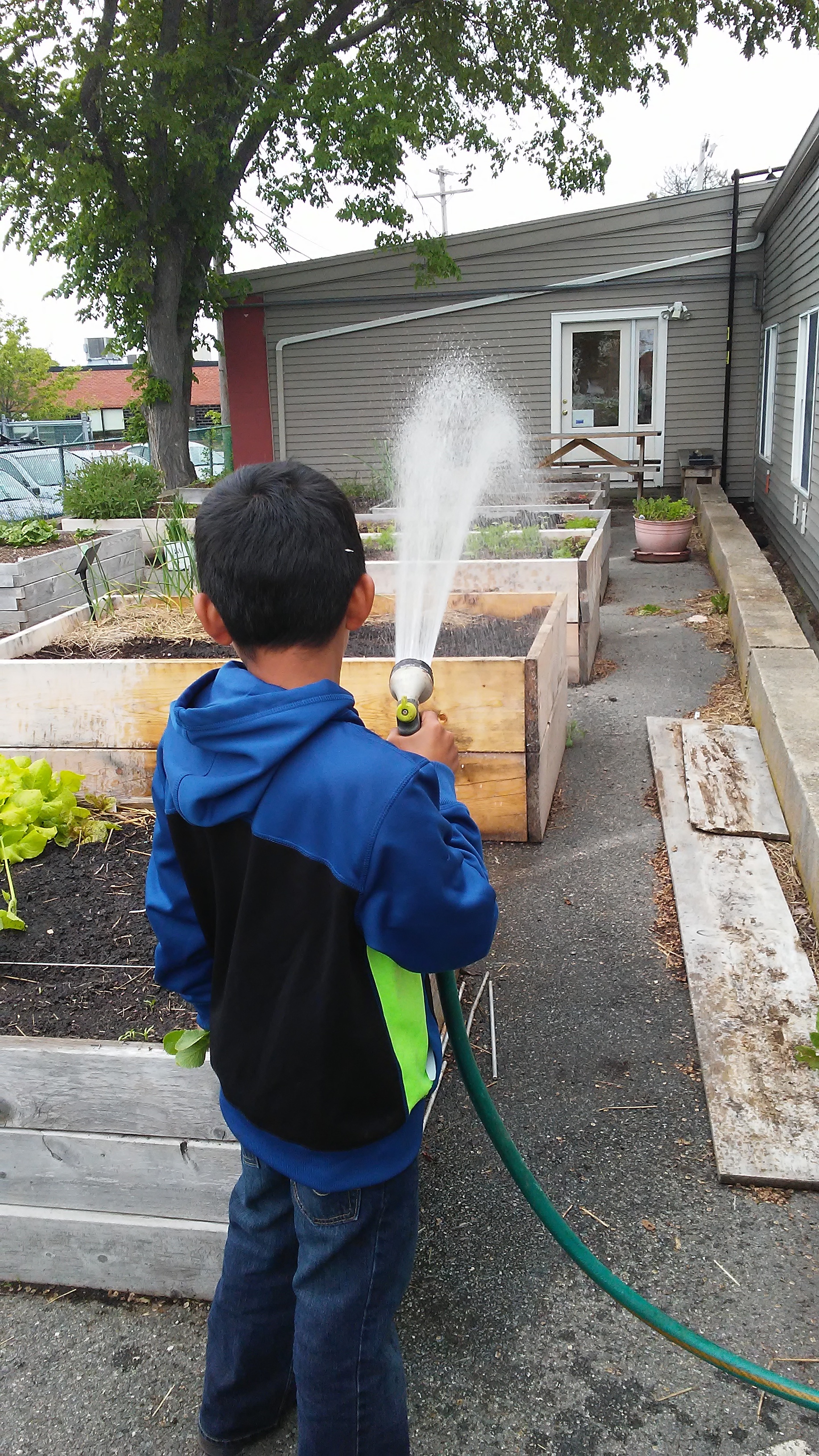 Watering The Open Door Garden