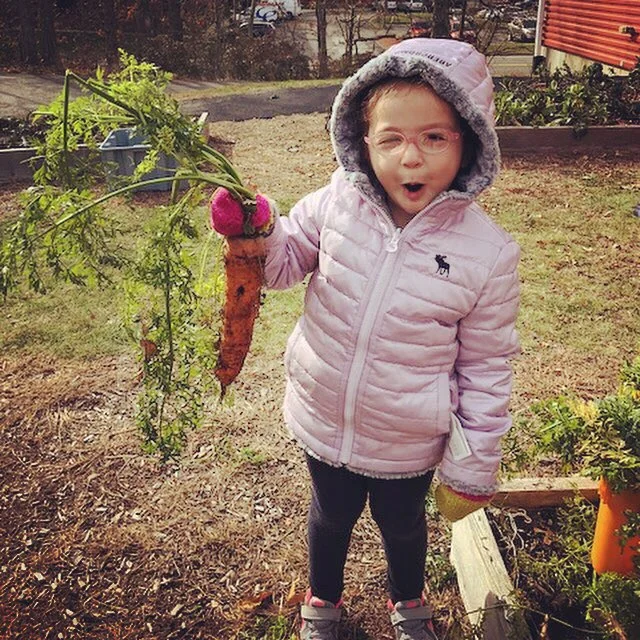 A great harvest for Stone Soup at the Preschool!