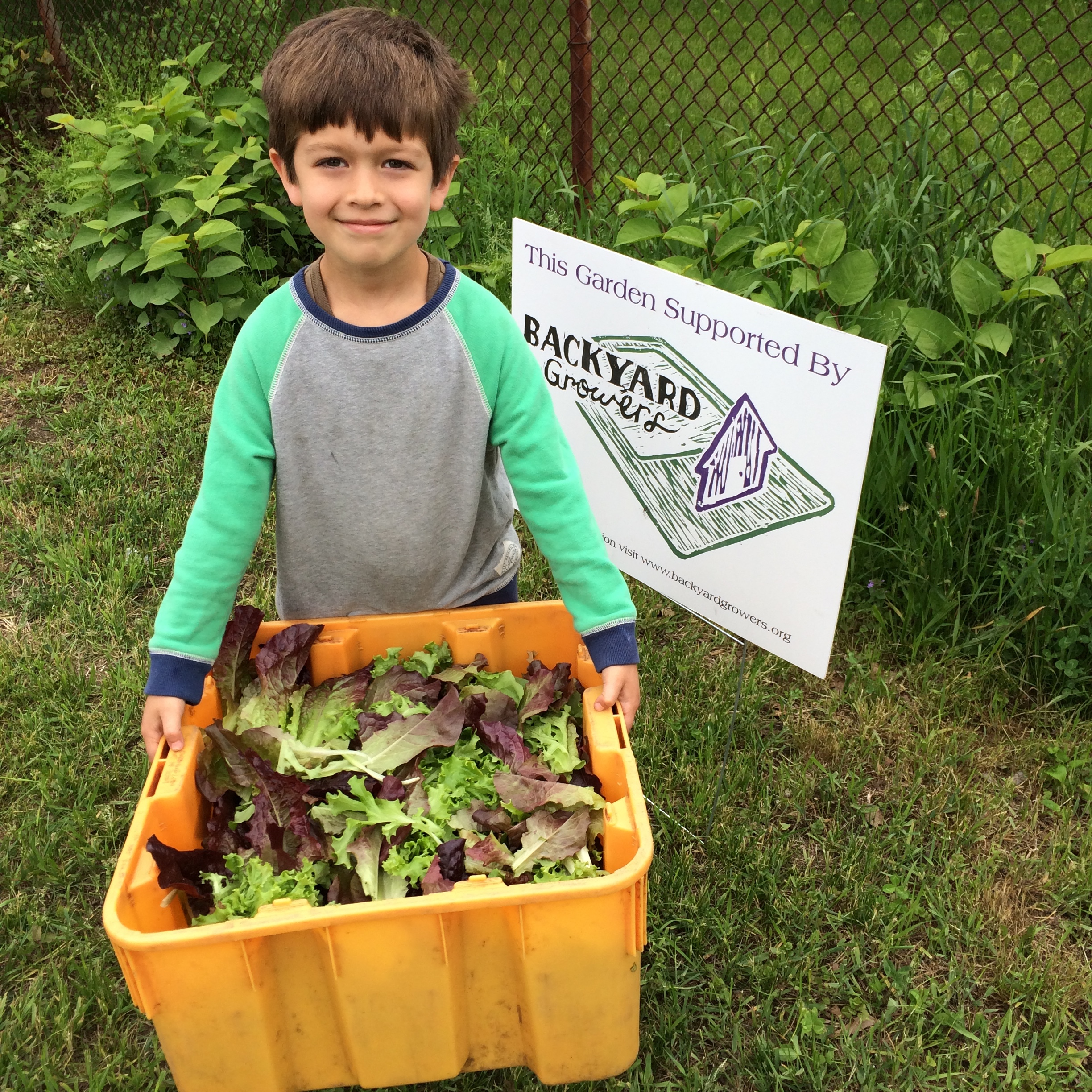 News Backyard Growers