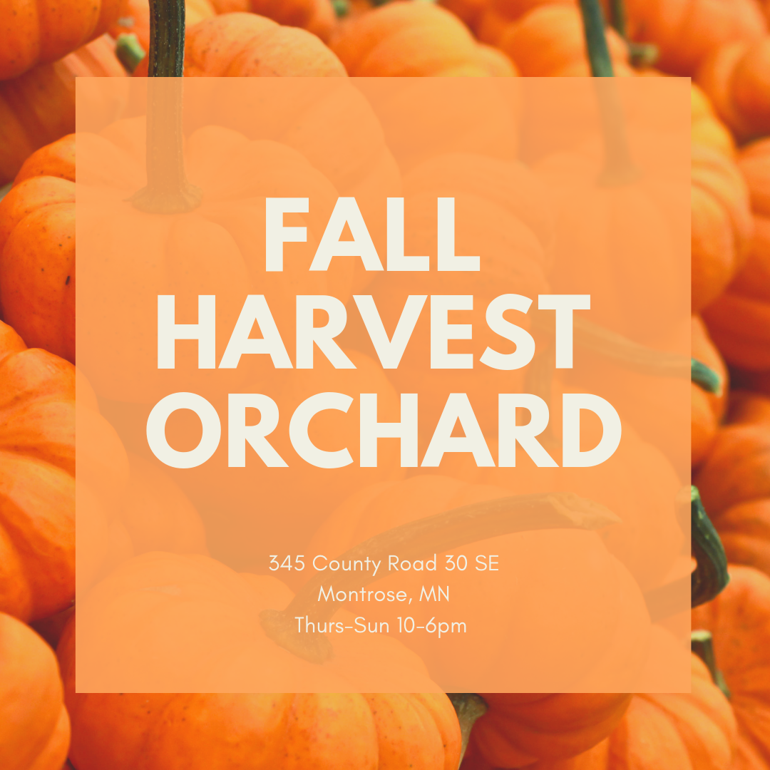 Fall Harvest Orchard