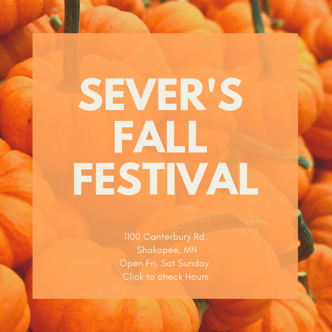 Sever's Fall Festival