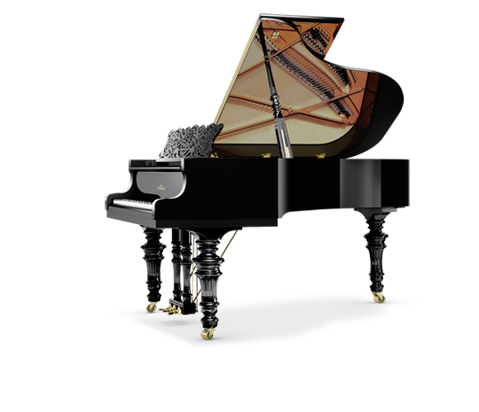 Ebony high gloss | White high gloss