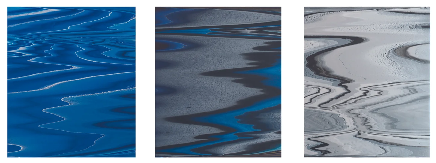 Morphology 425 (Triptych), 2012