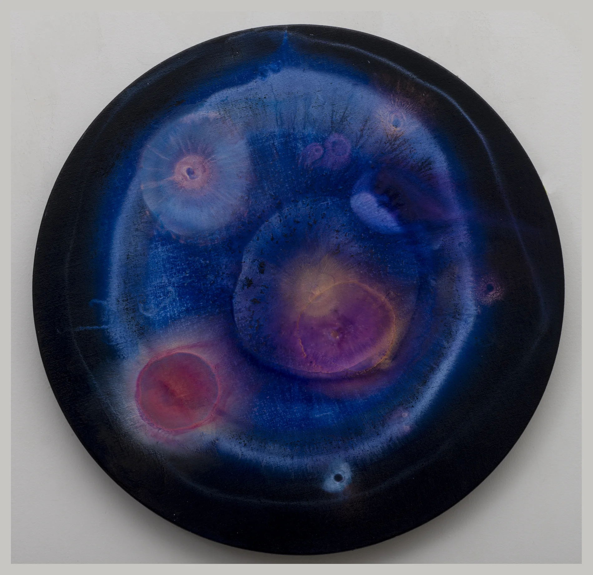 Friends and Anemones, 1998