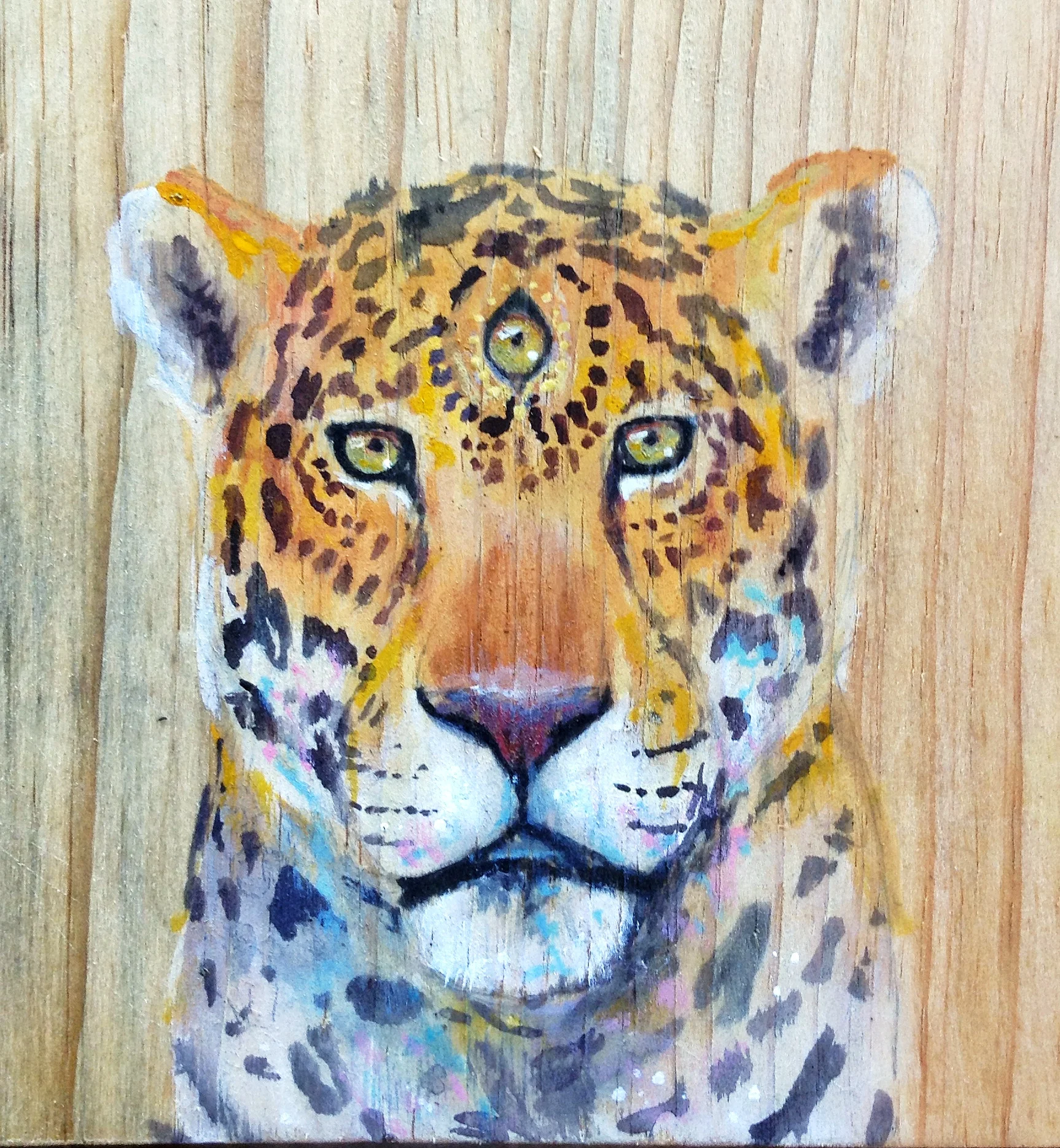 Jaguar Guide