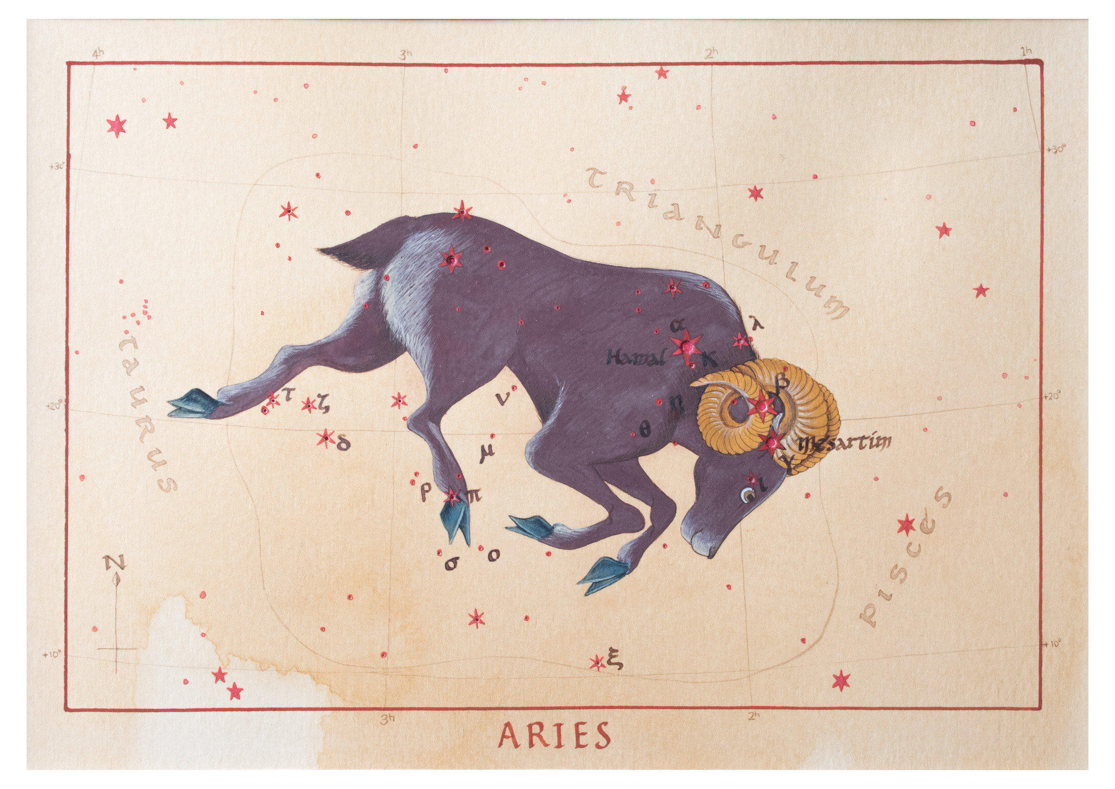 10.a.Aries.JPG