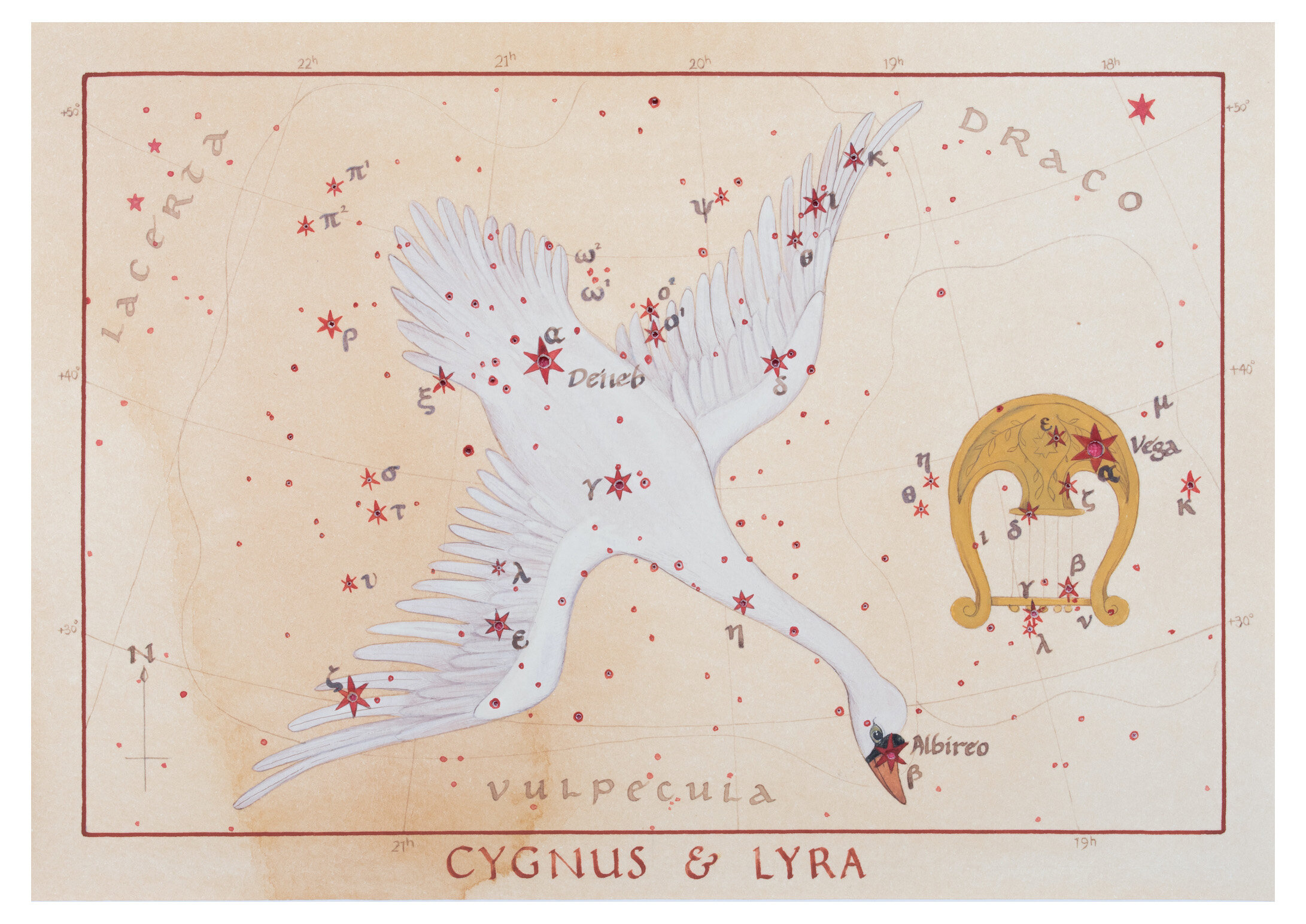10.e.Cygnus & Lyra.JPG