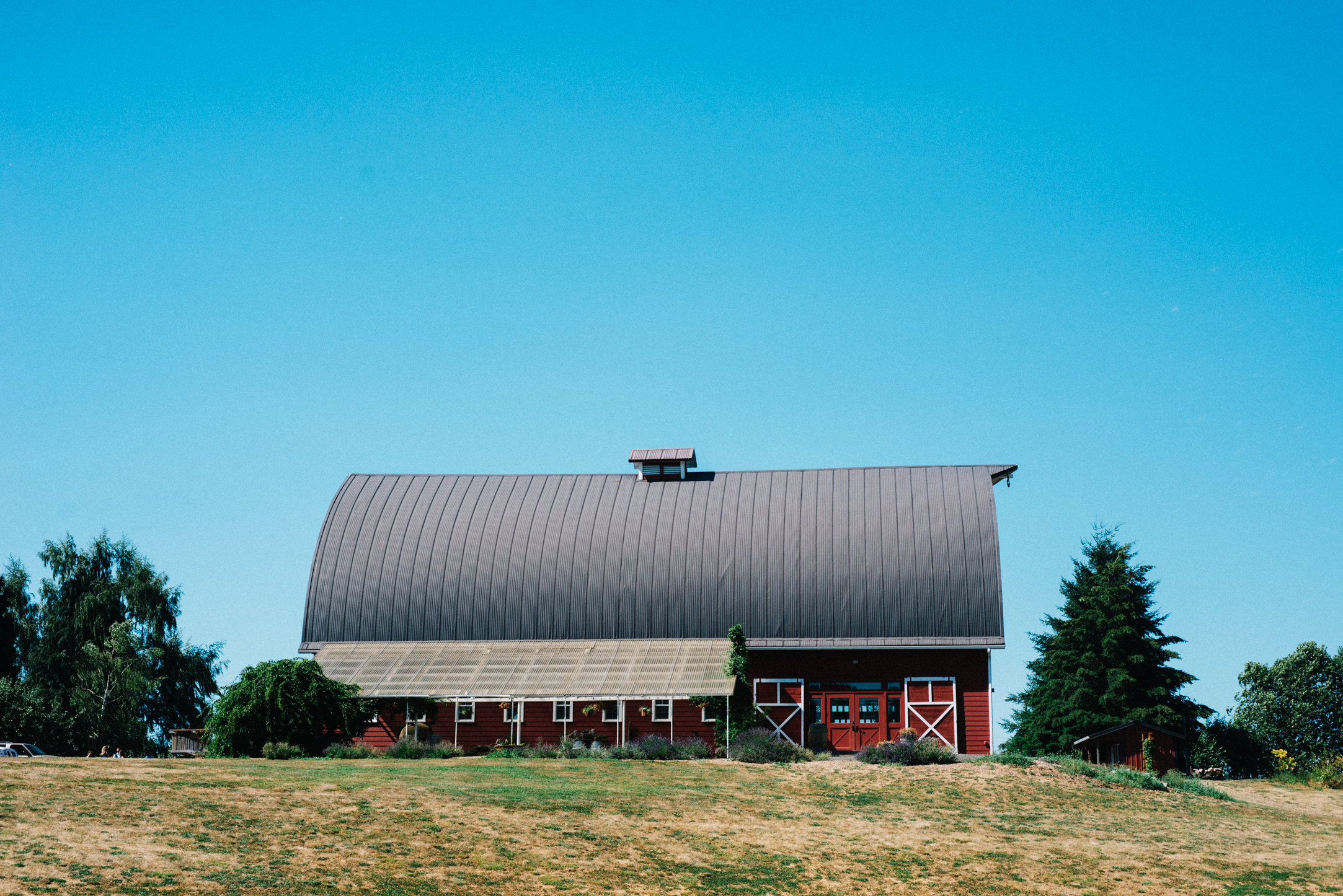 DSC_8235.png