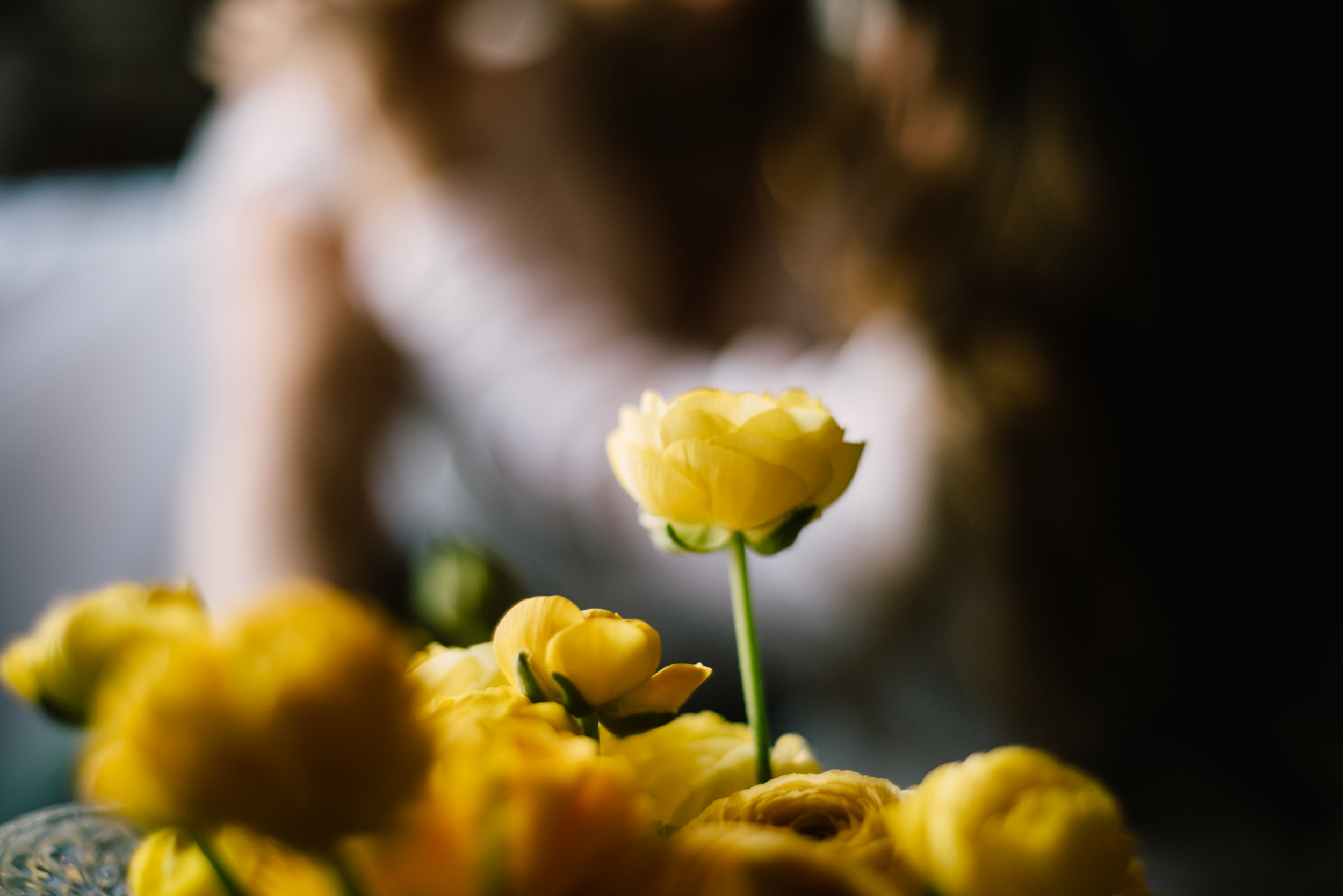 DSC_4191.png