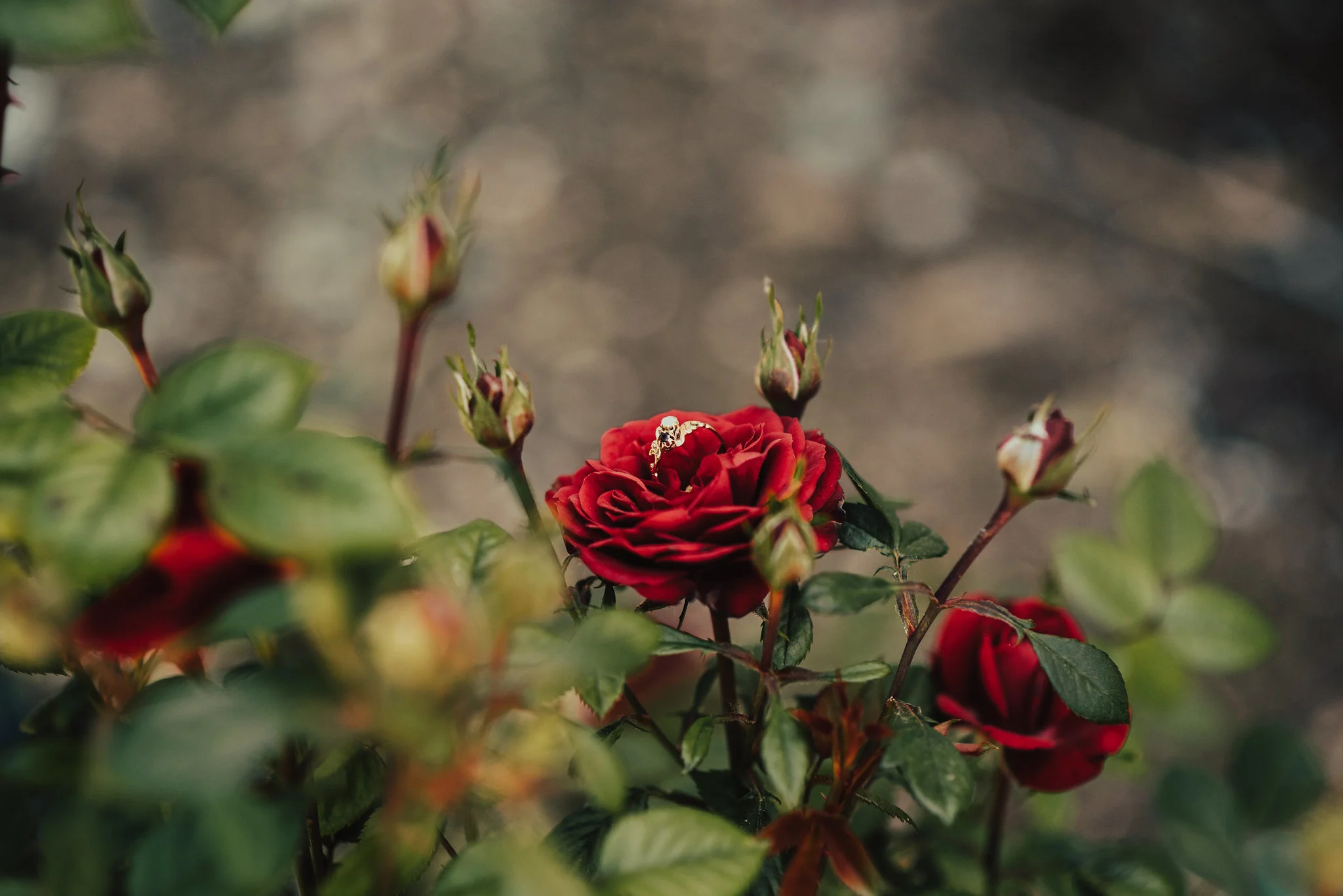 DSC_0587.jpg