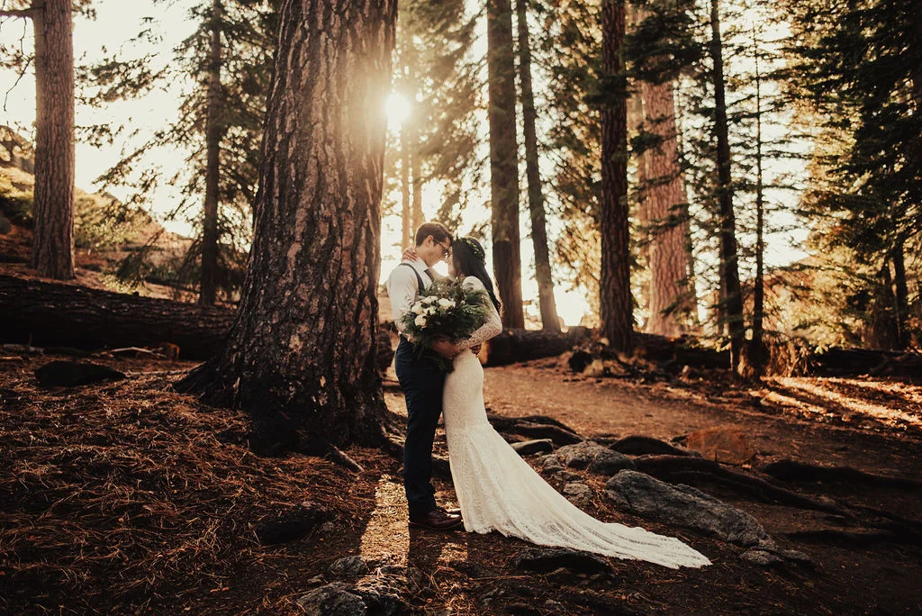 Sunlit Redwood Forest Groom &amp; Bride Portraits Photographed by Big Sur Wedding Photographers Tessa Tadlock 