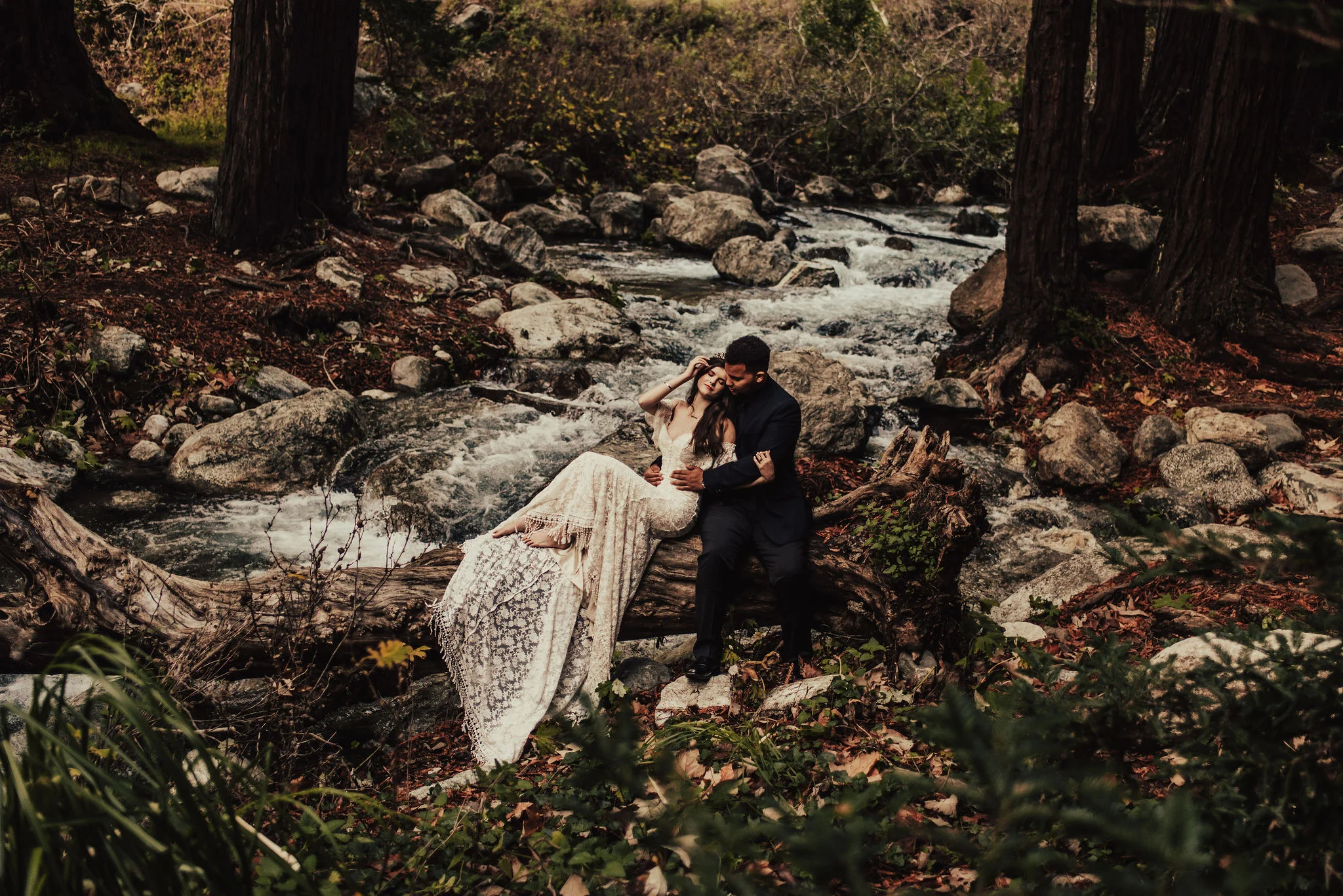 Woodland Fairytale Elopement with Bride &amp; Groom on Fallen Tree Photographed by Big Sur Wedding Photographers Tessa Tadlock