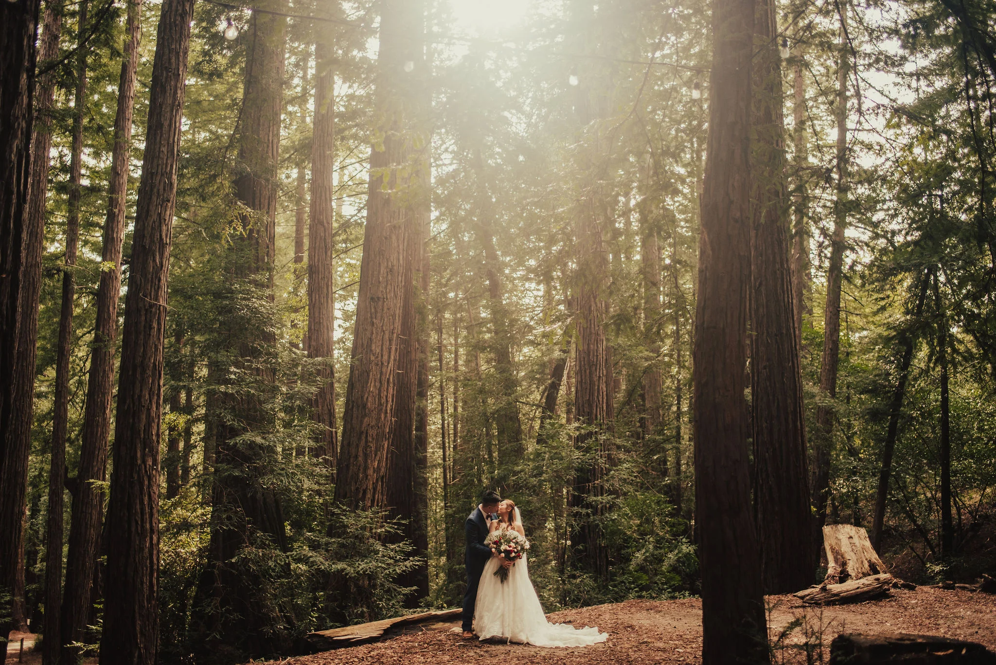 Ventana Big Sur Elopement with Sunlit Forest Photographed by Big Sur Wedding Photographers Tessa Tadlock