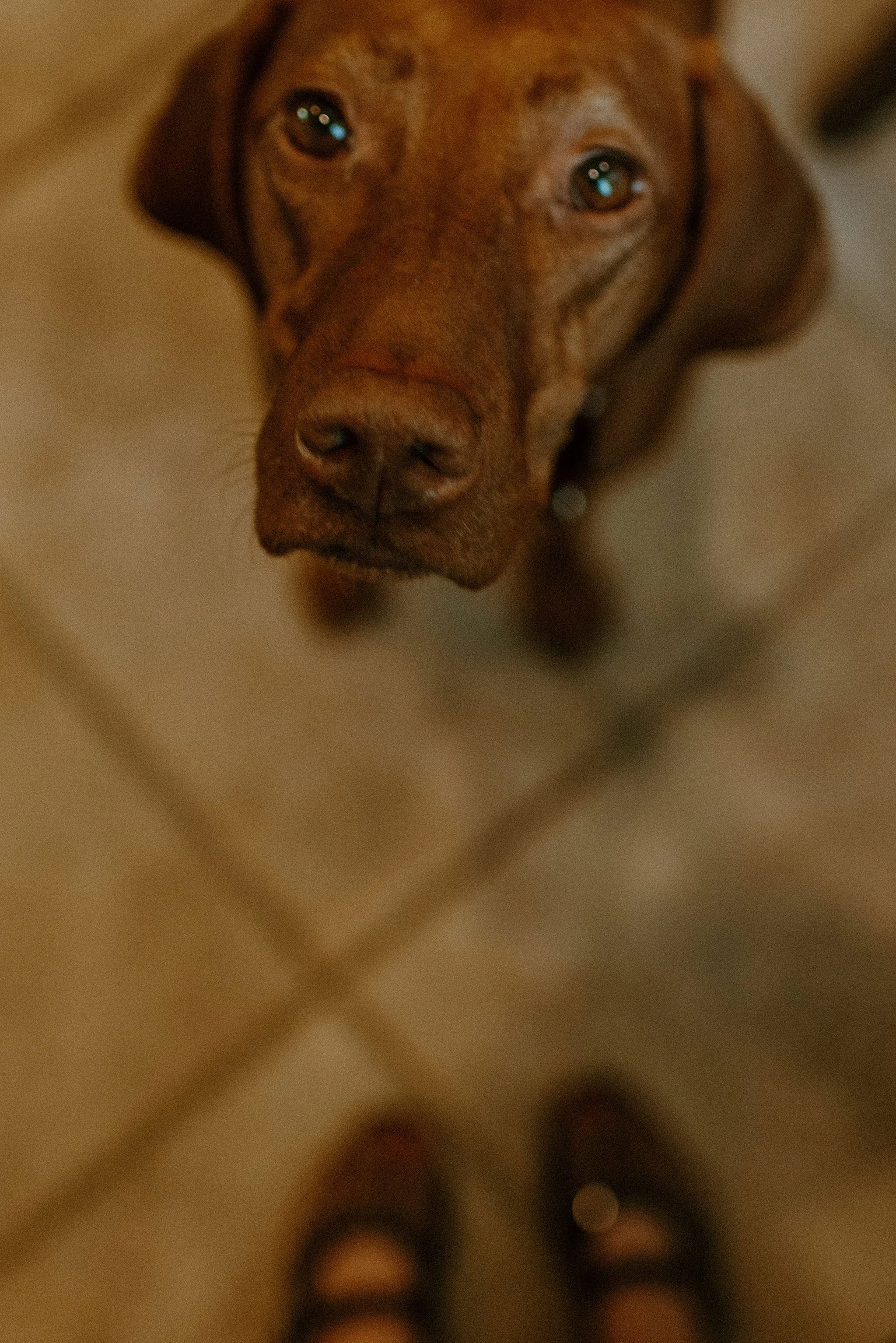 DSC_1230.jpg