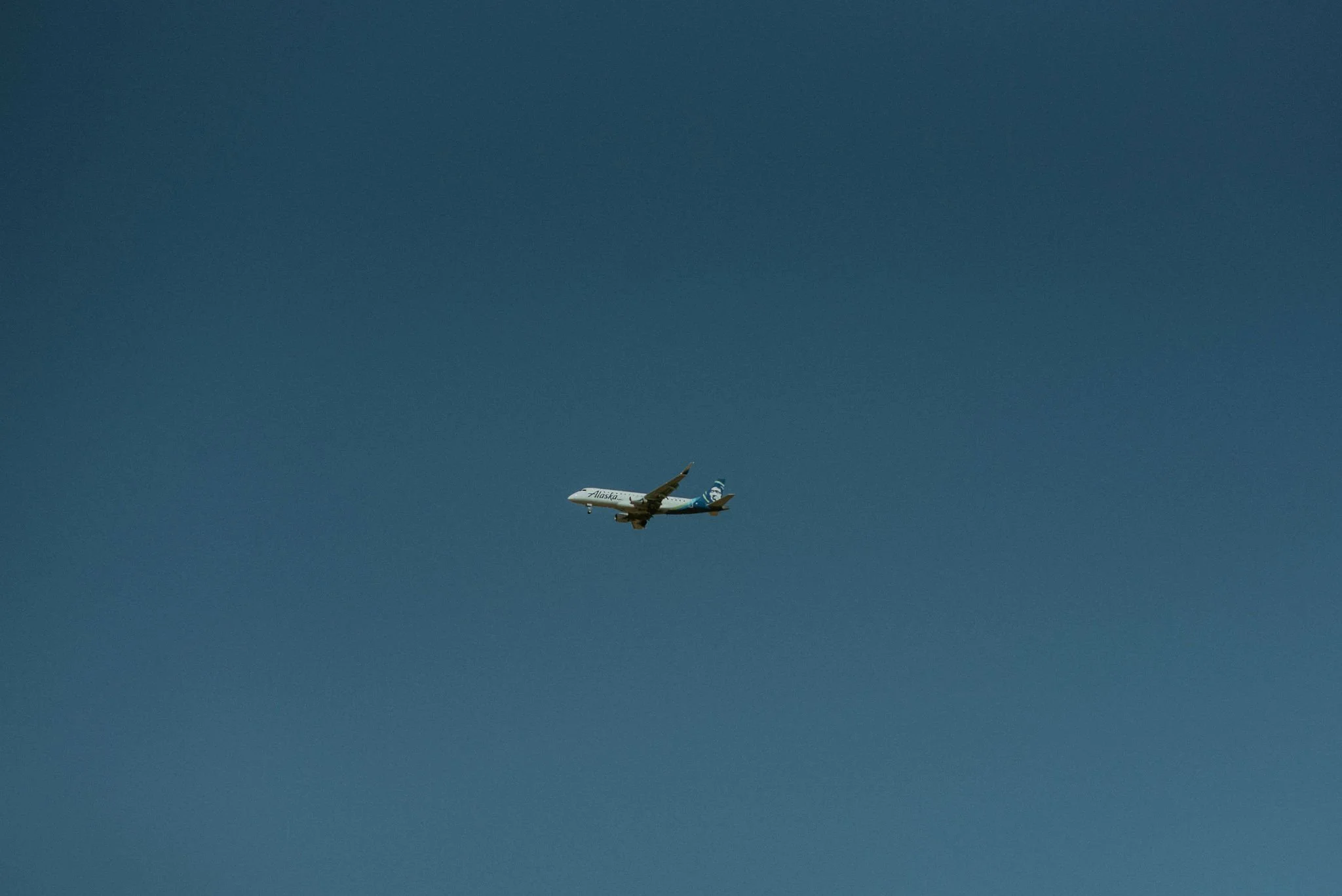 DSC_1571.jpg