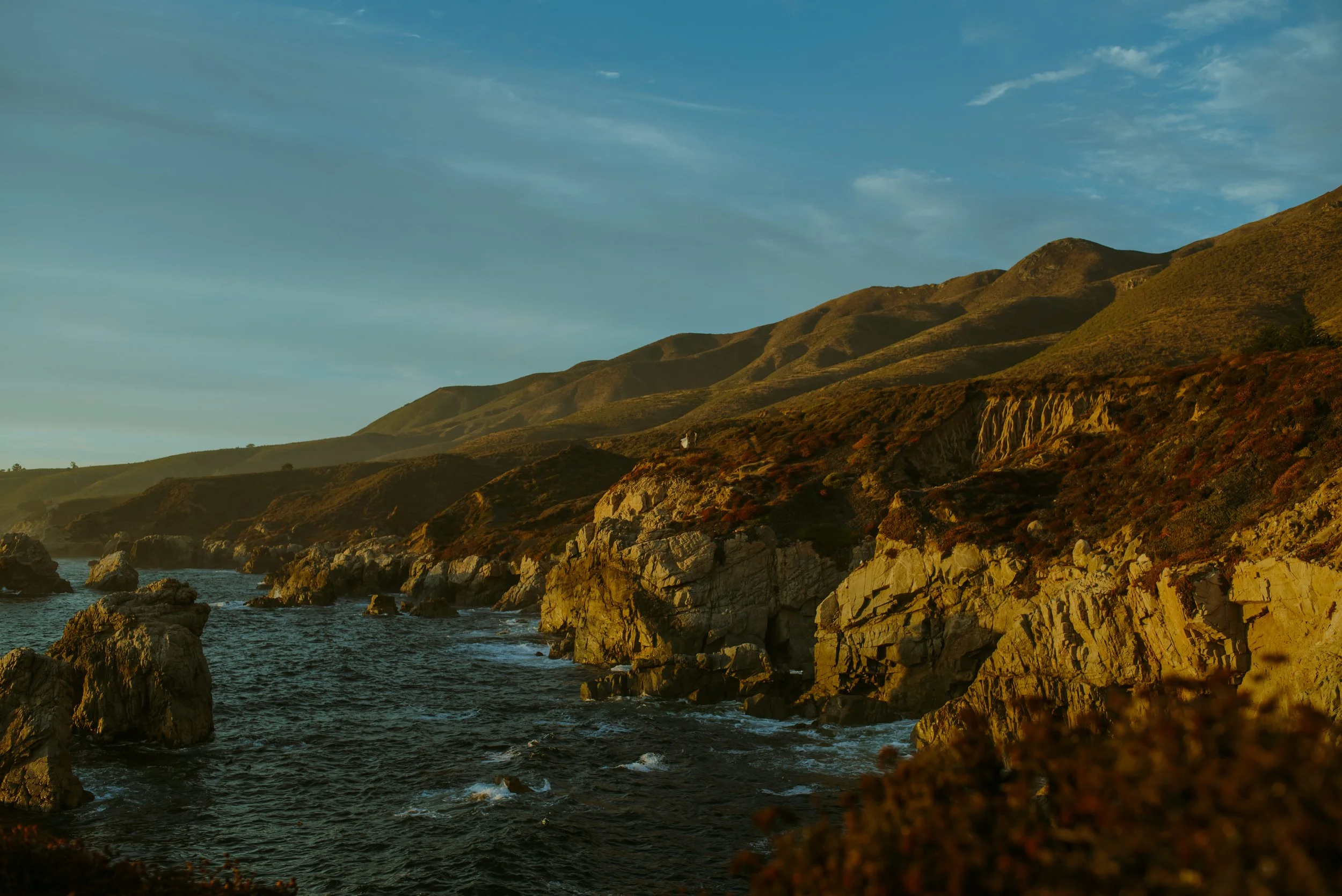 DSC_0557.jpg