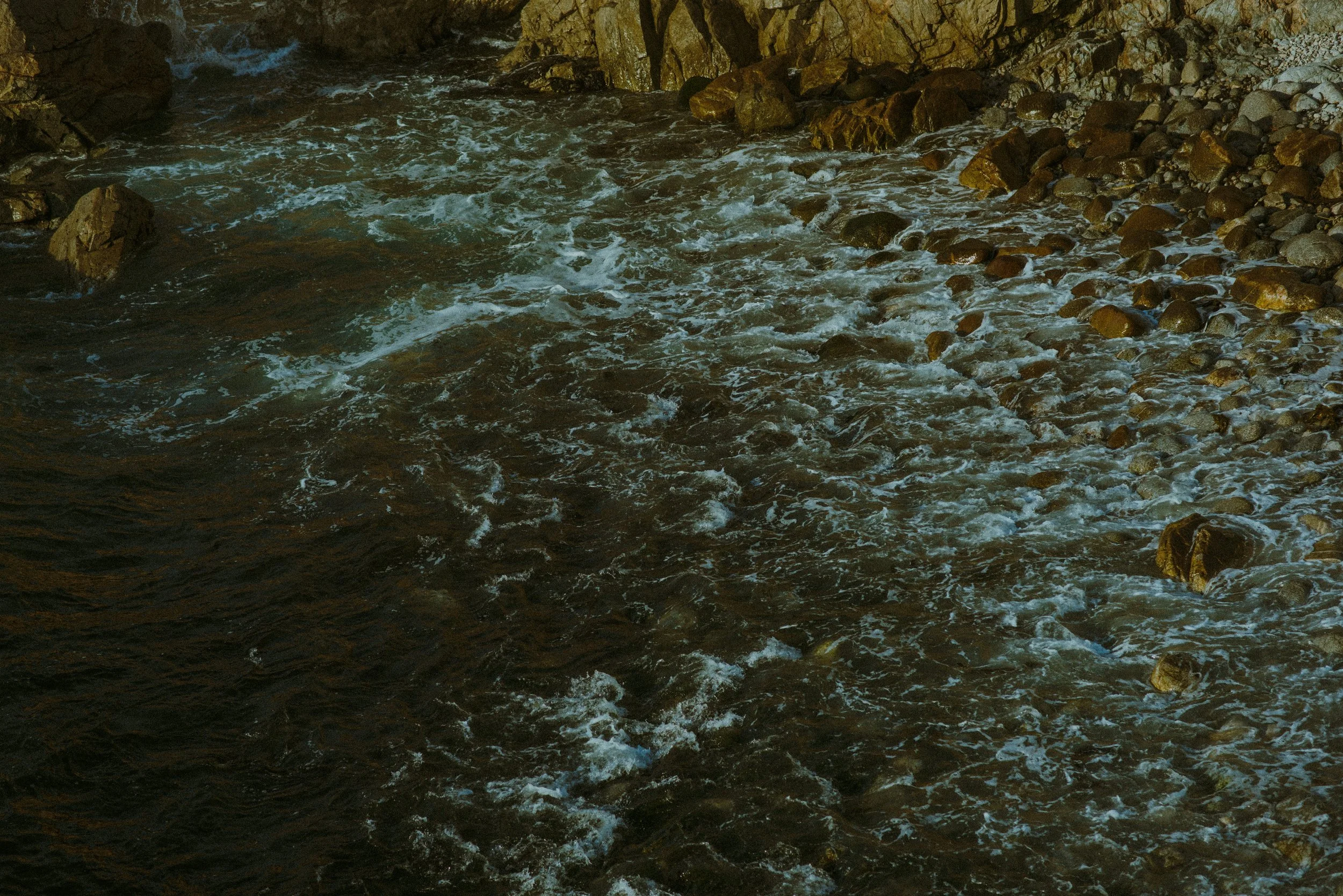 DSC_9611.jpg