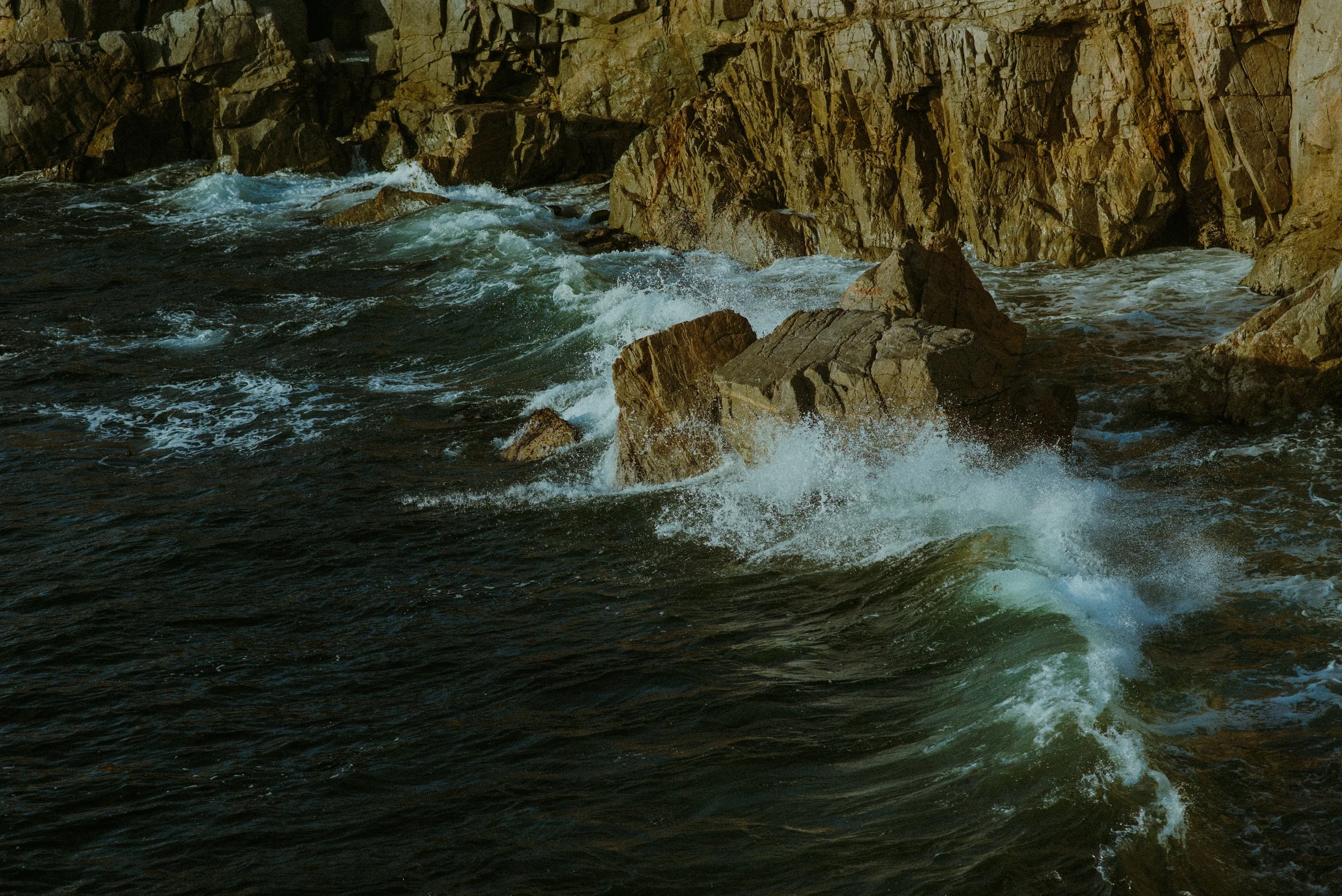 DSC_9612.jpg