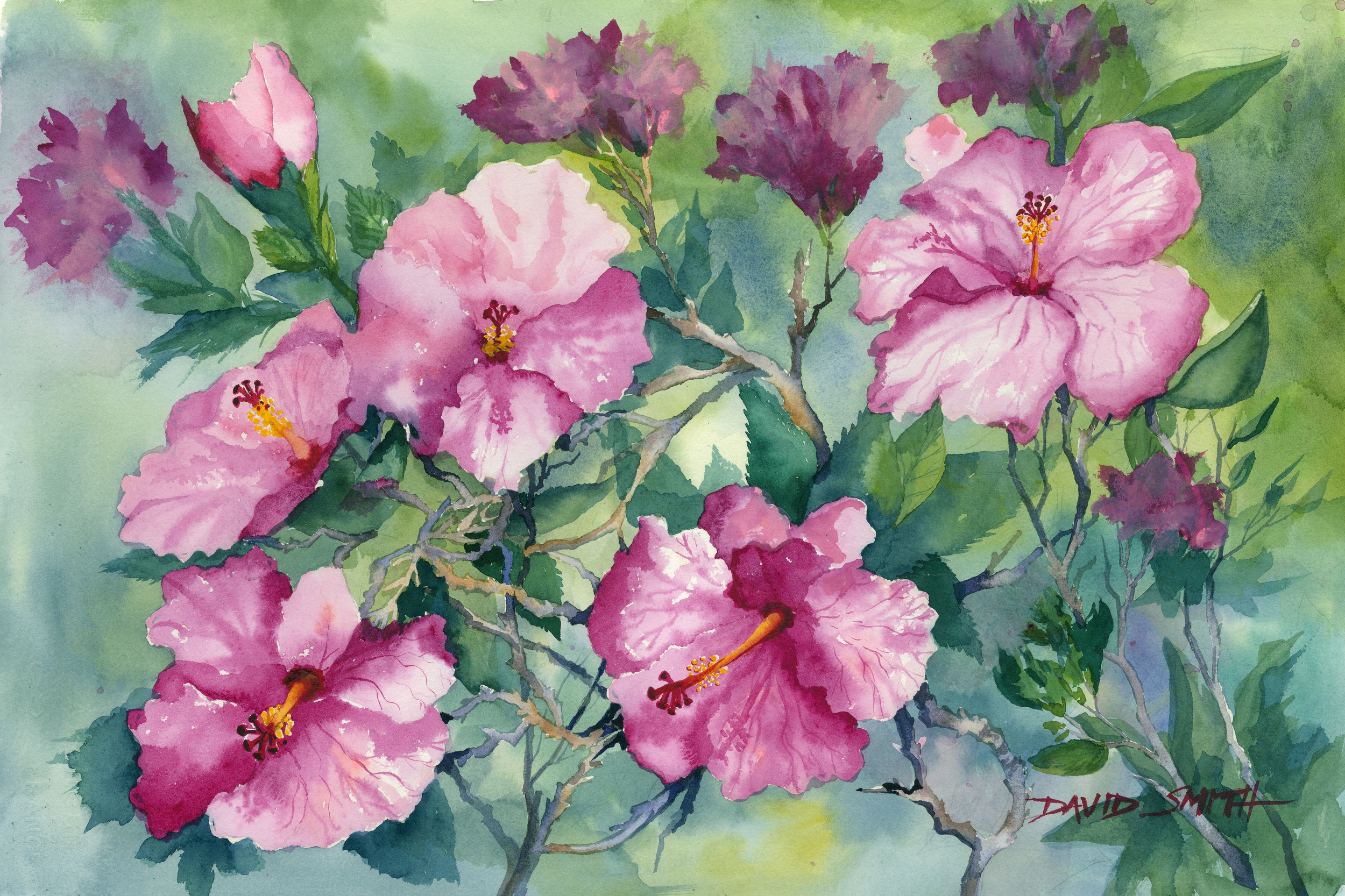 "Hibiscus #1" - Sold - Prints Available