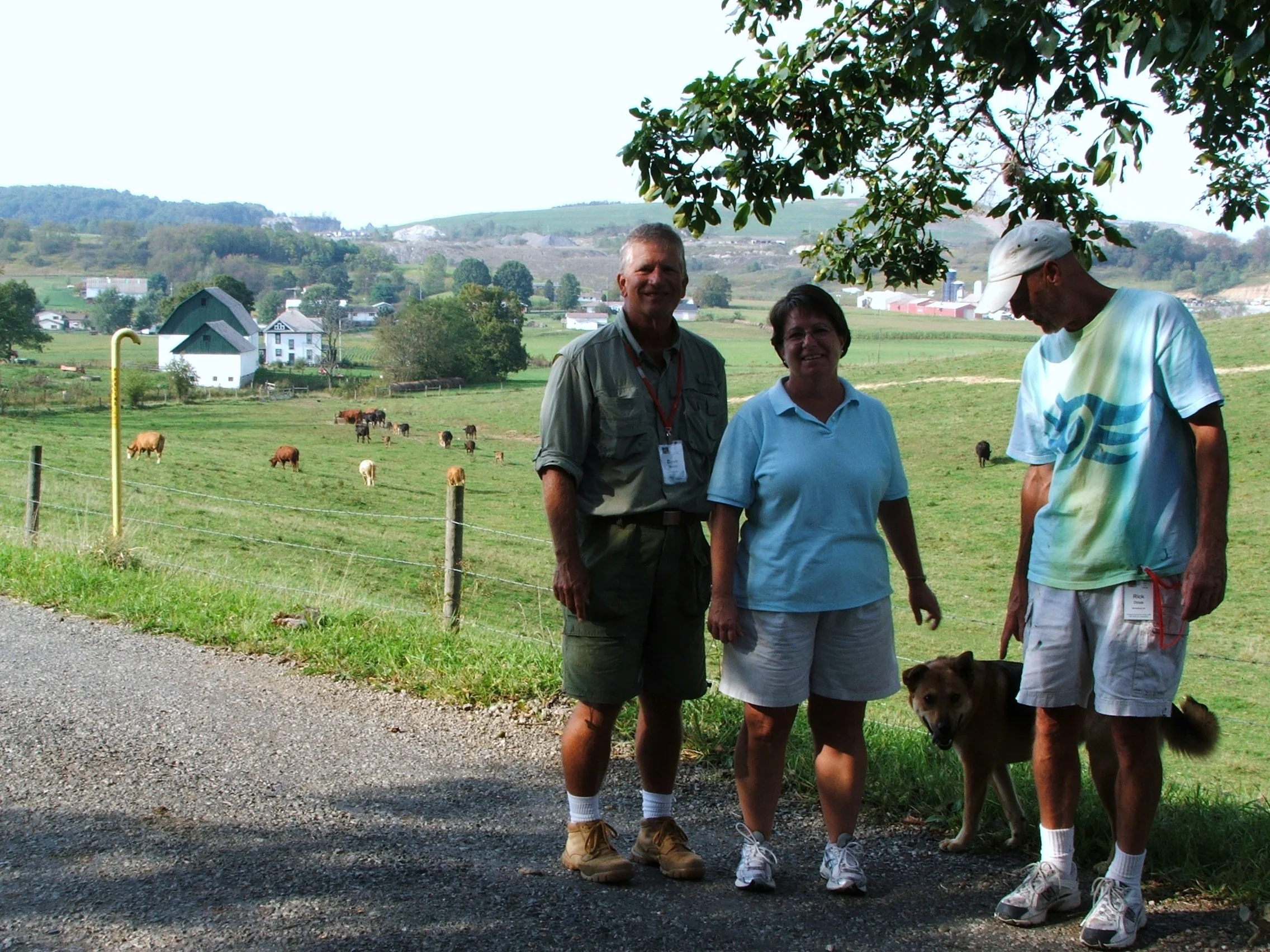 Getting ready to paint cows - OPAS Competition - Nelsonville, OH