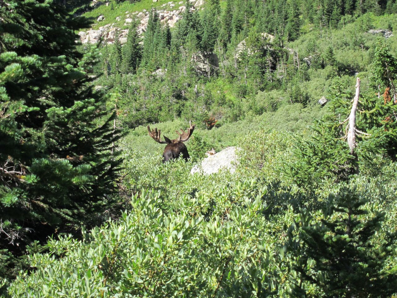 Wyoming - 05.jpg