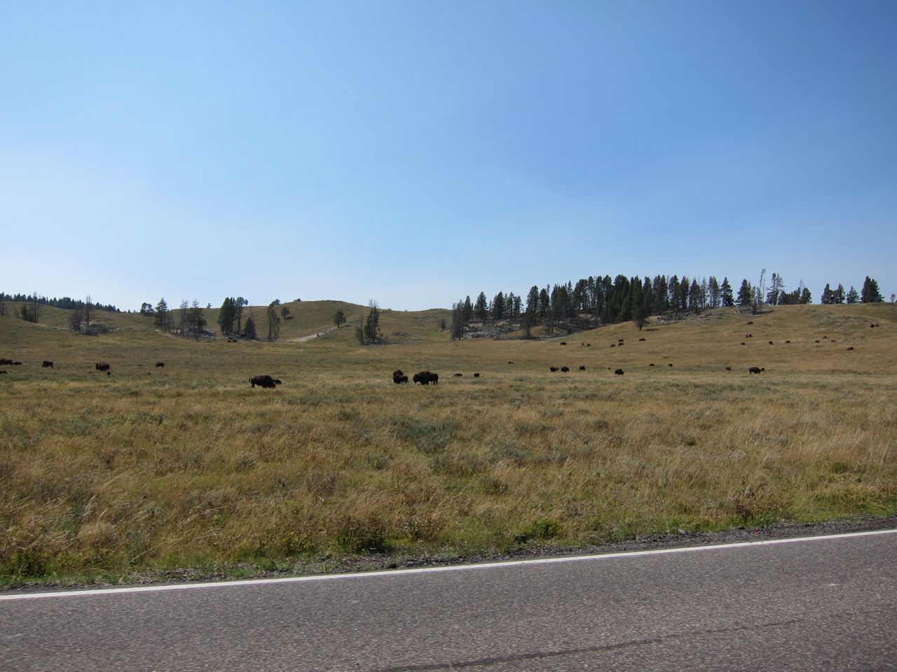 Wyoming - 38.jpg