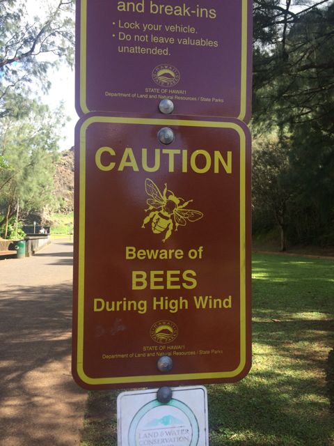Caution Bees.jpg