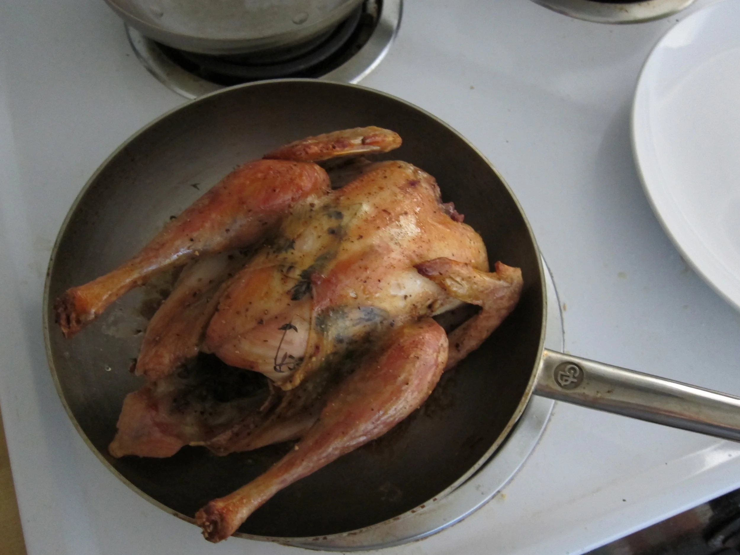 Zuni Cafe Chicken