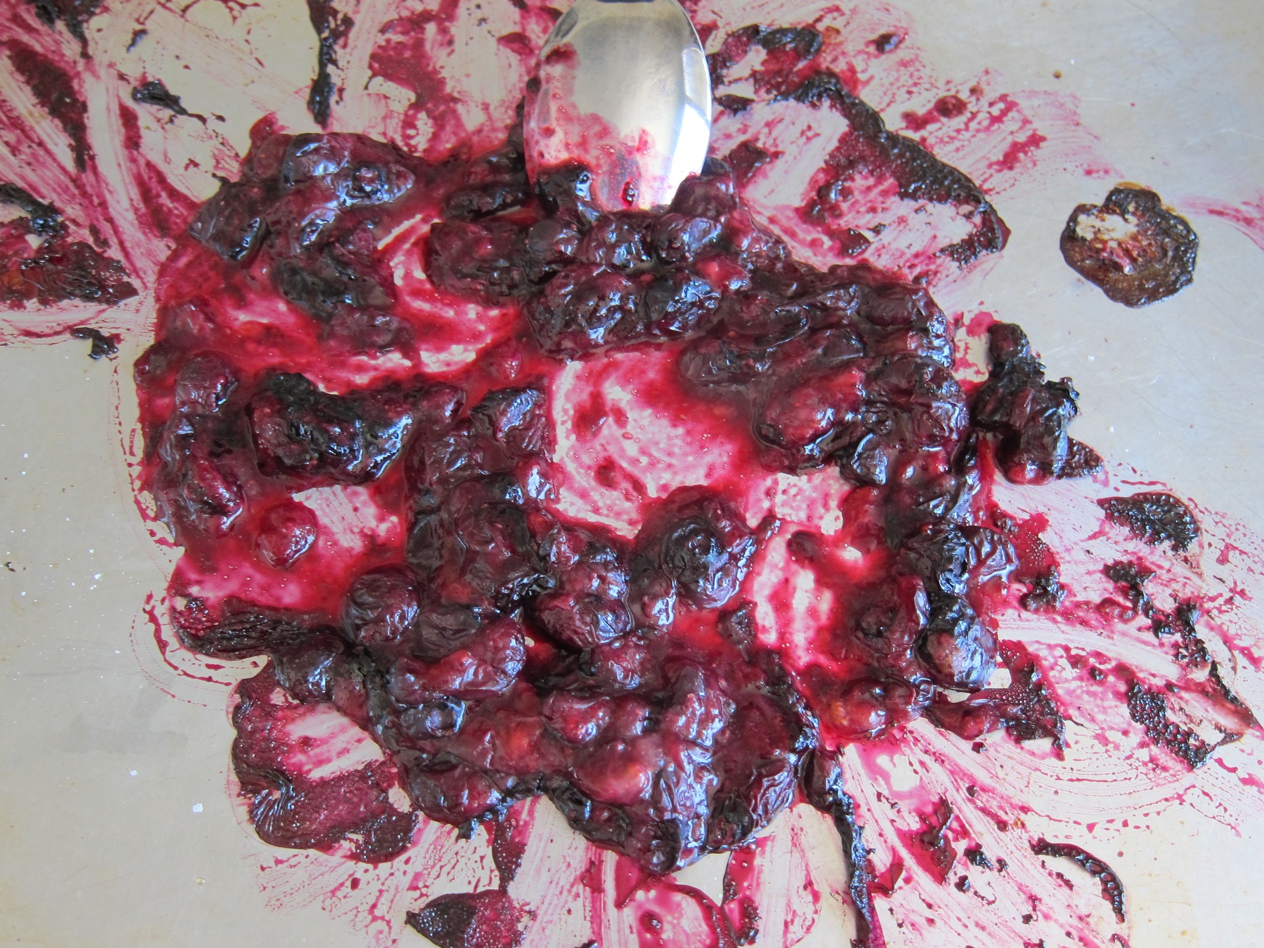 Roasted Blueberries