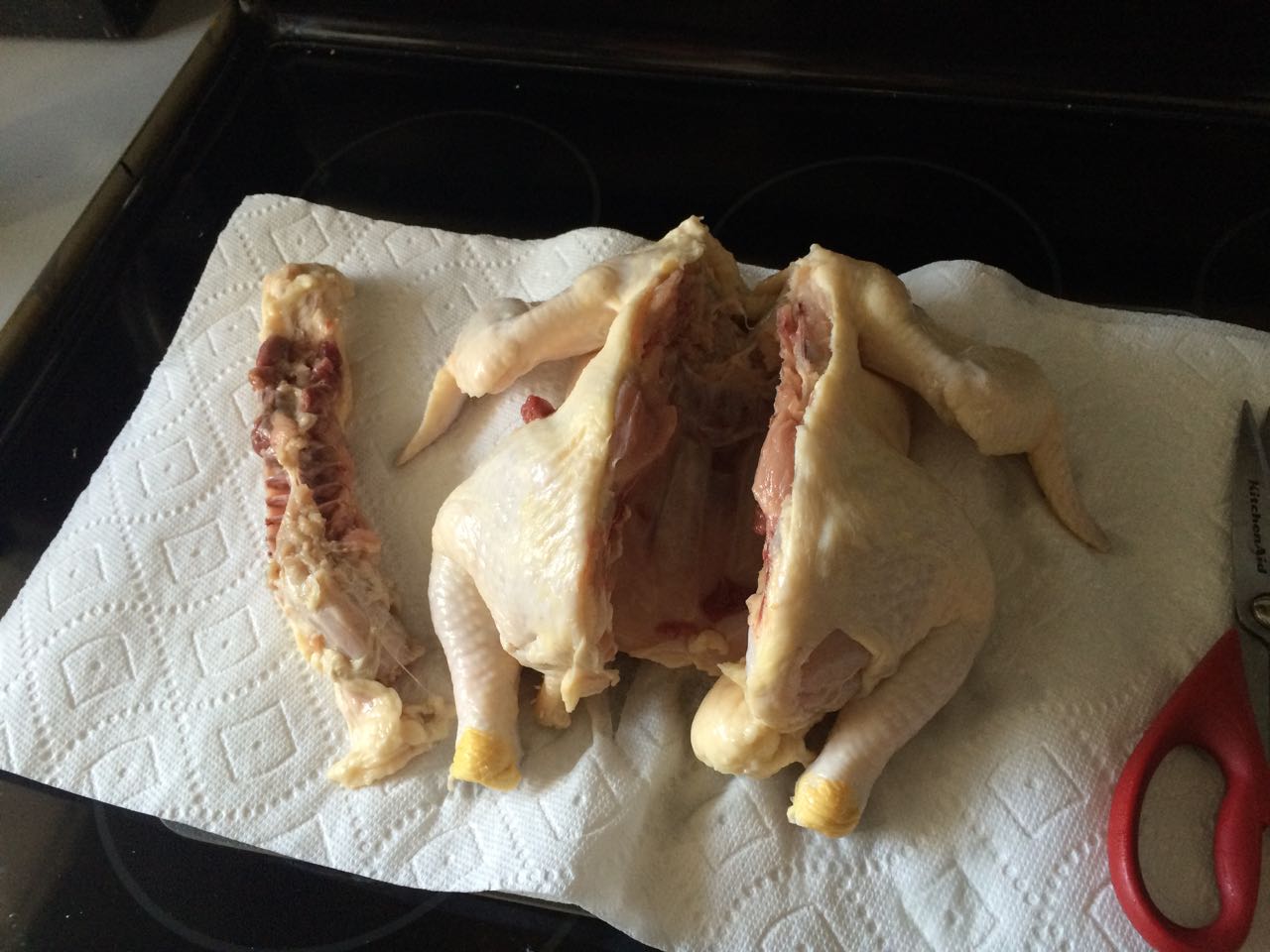 Spatchcocking Step 6.jpg