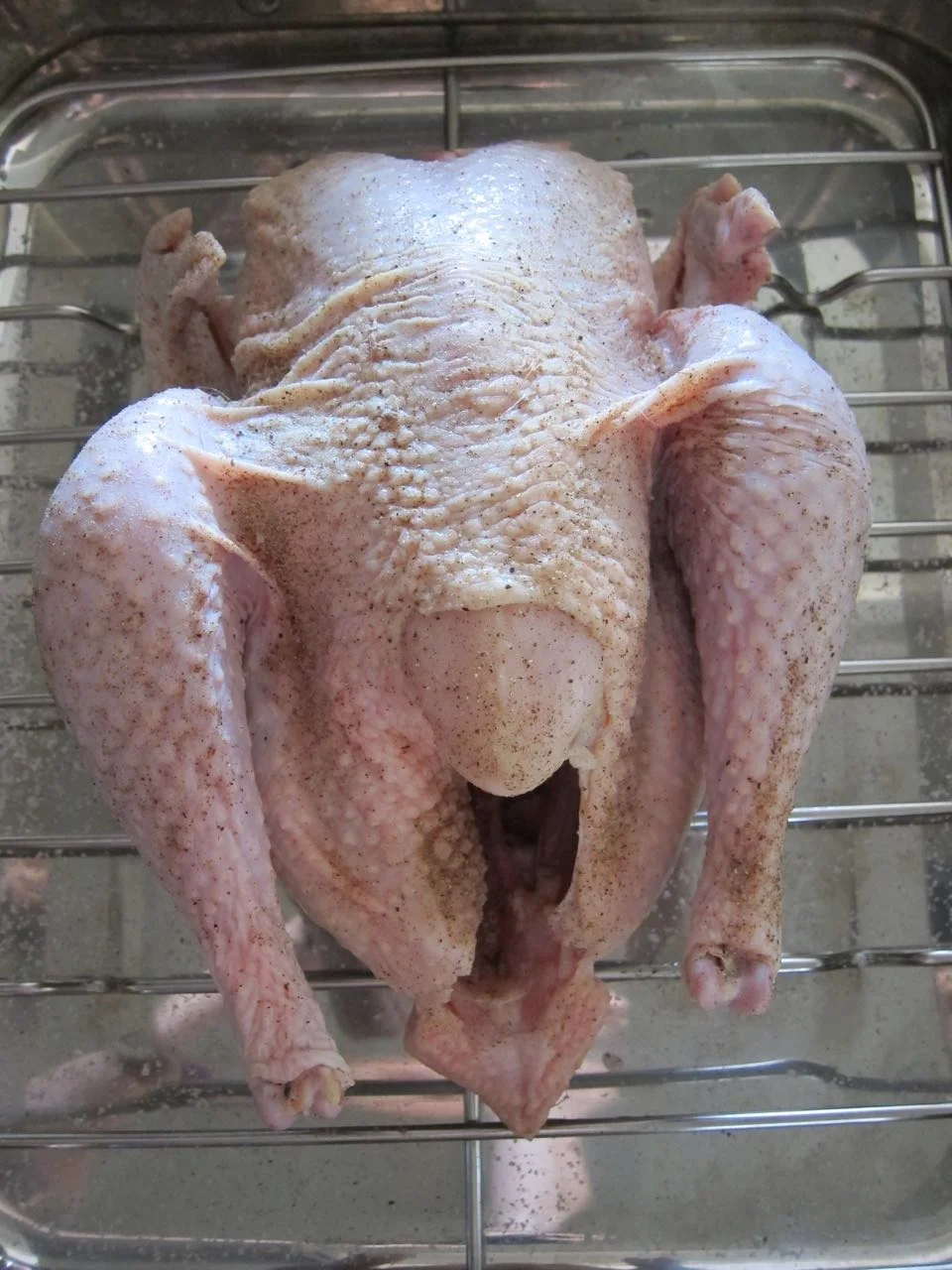 Nekkid Chicken!