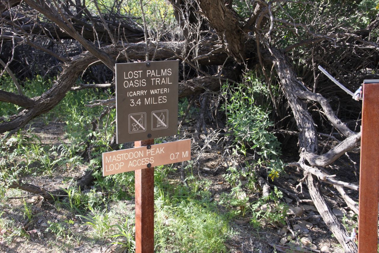 Lost Palms trail sign.jpg