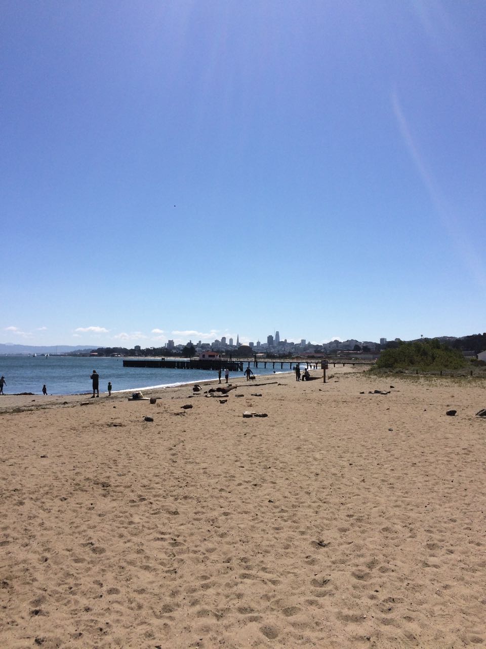 City from Chrissy Field.jpg