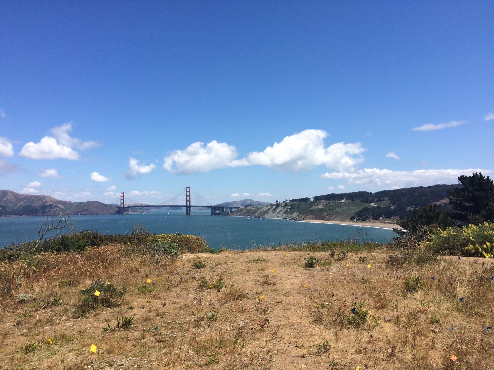 Golden Gate from Lands End