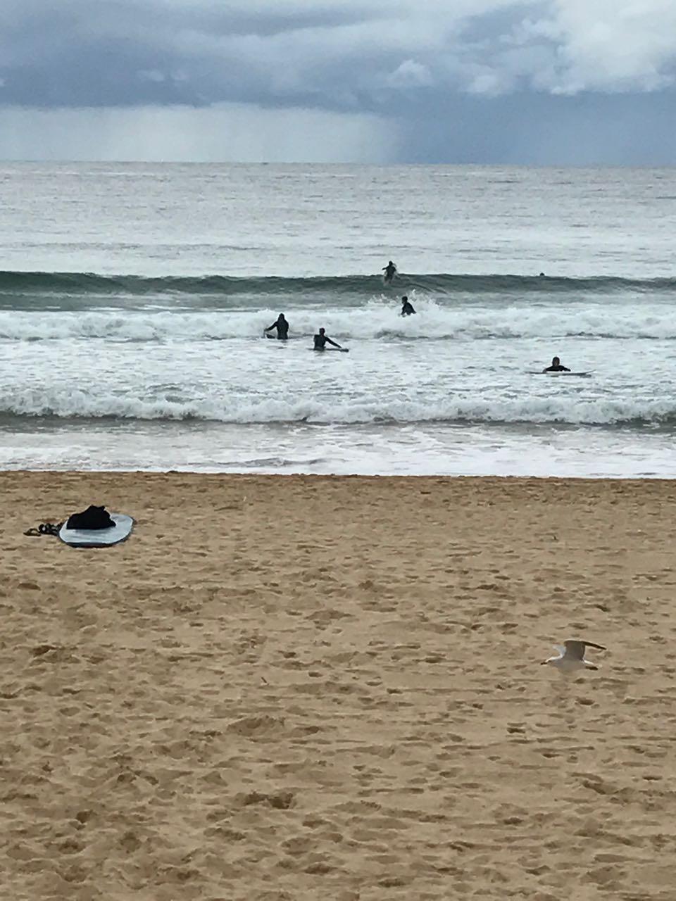 Surfers in Manly Beach.jpg