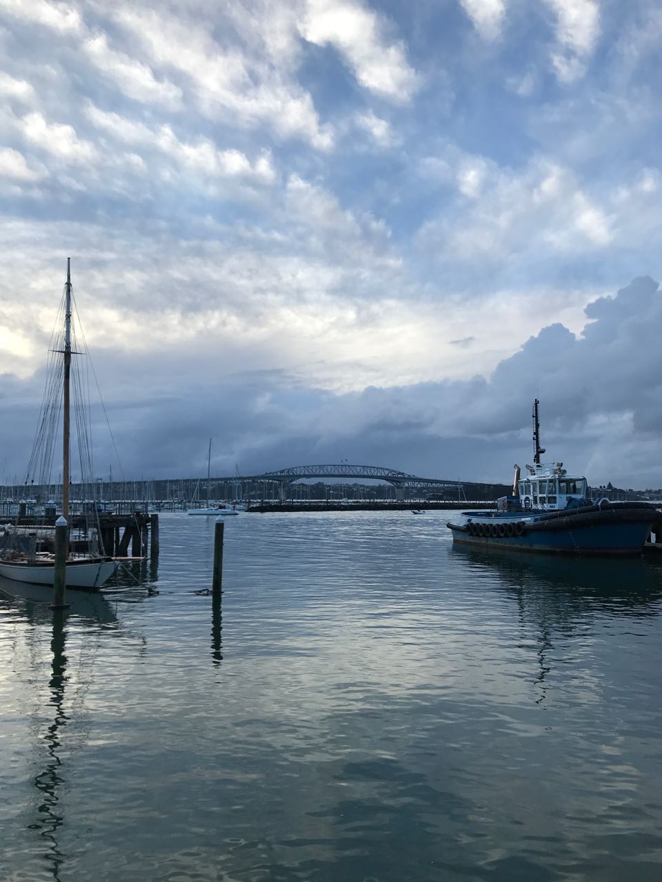 Auckland Harbour Bridge.jpg