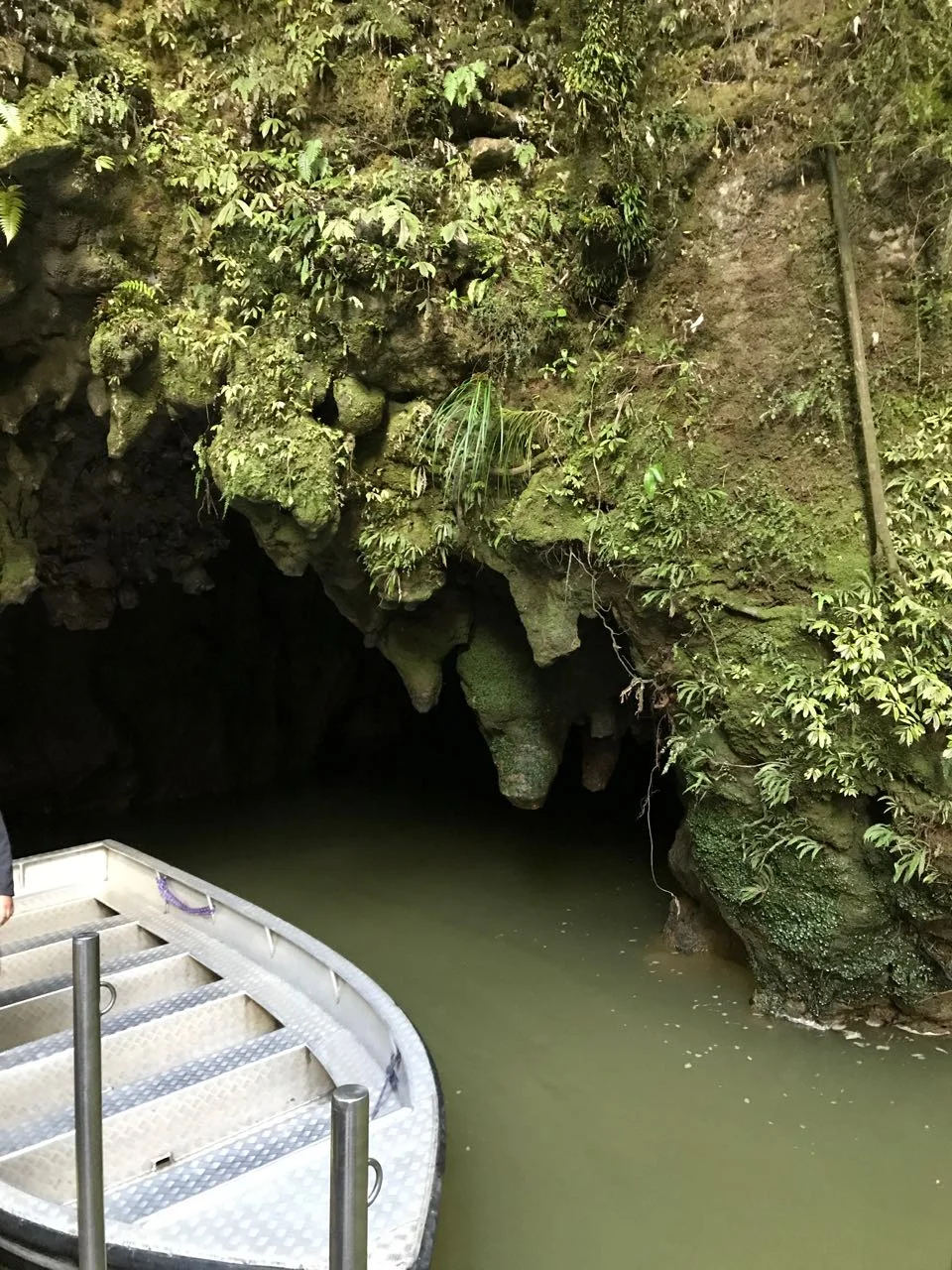 Waitomo Cave
