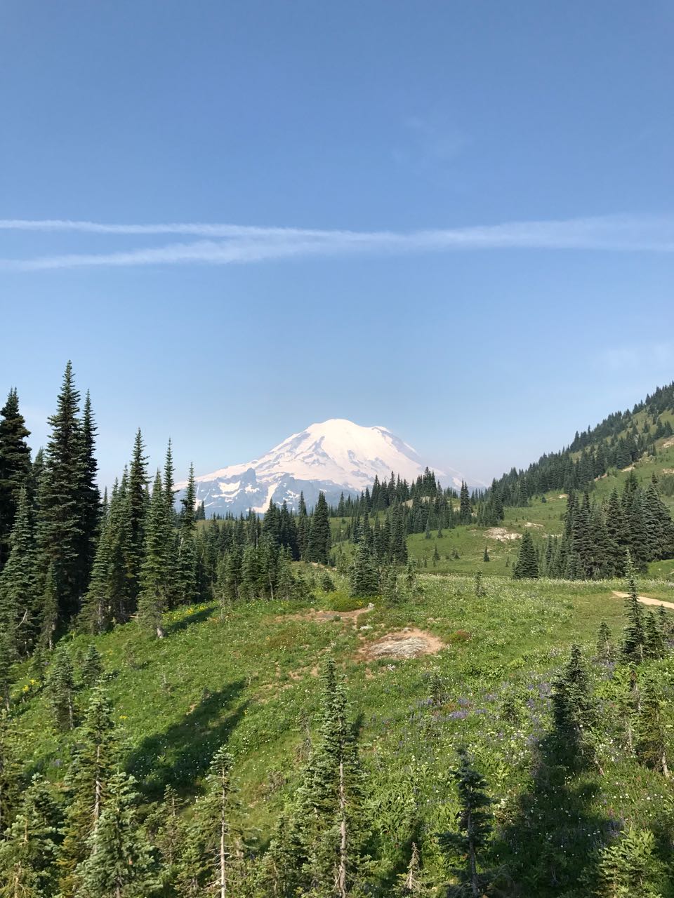Mt. Rainier