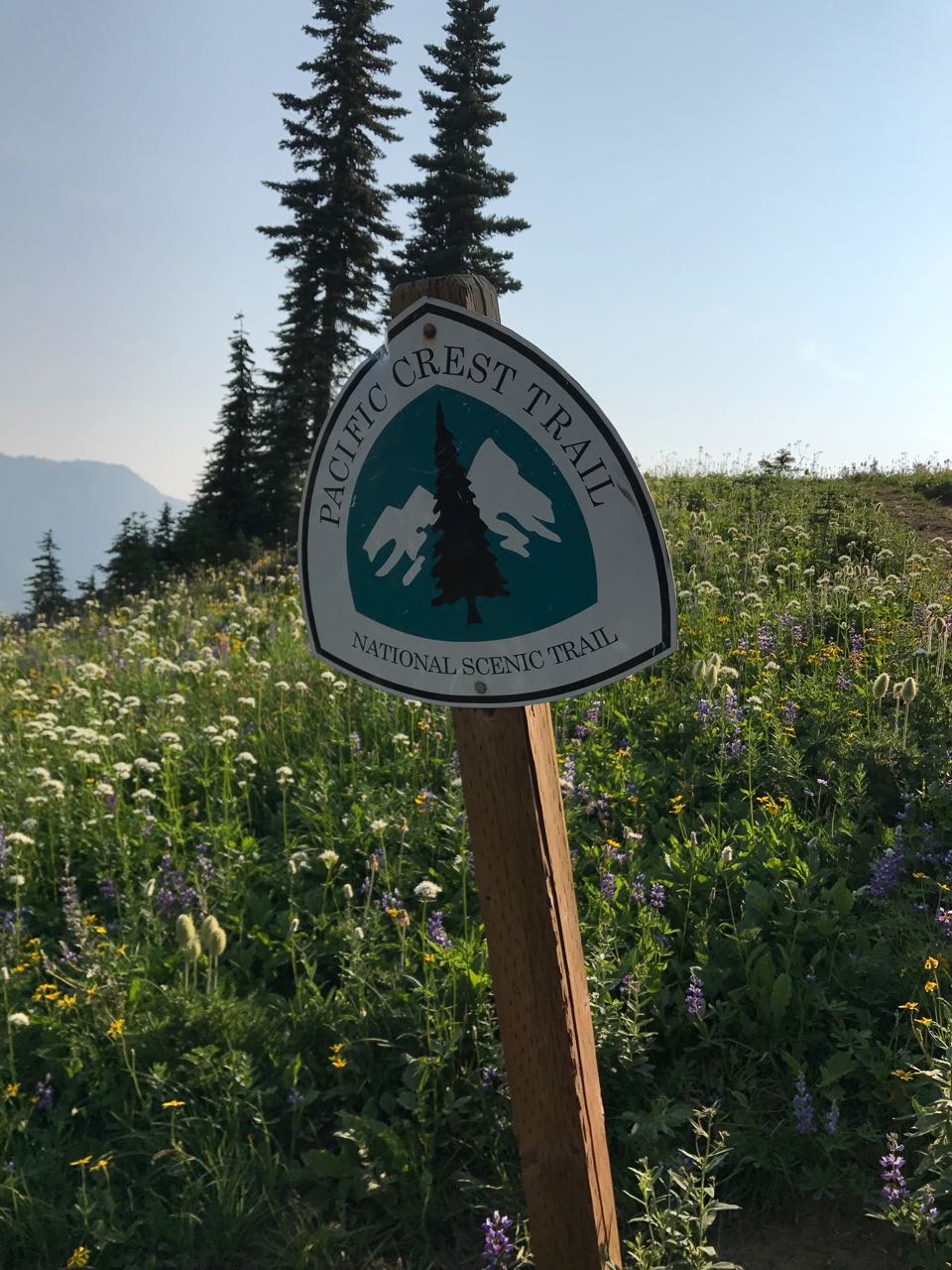 Pacific Coast Trail Sign.jpg