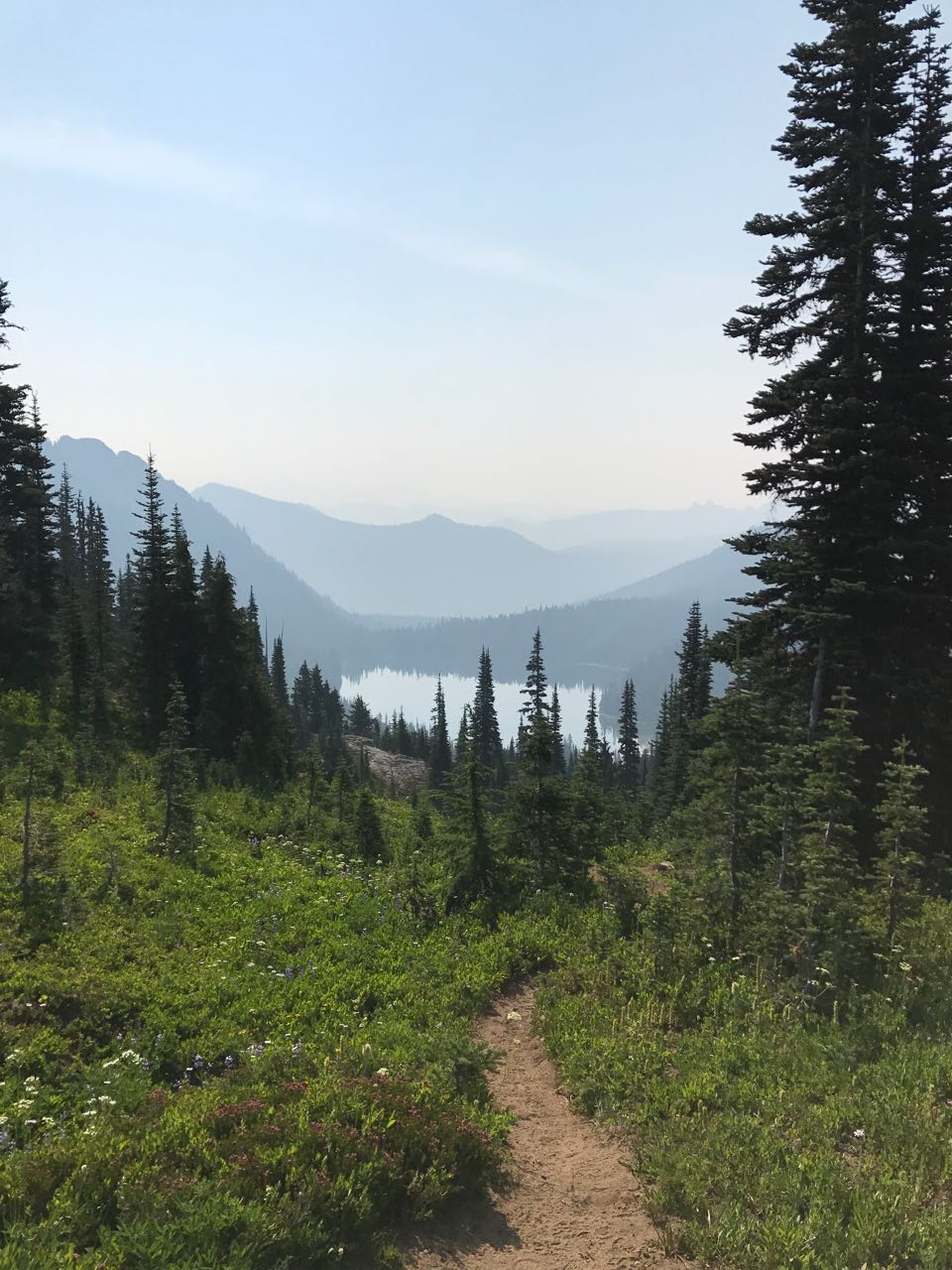 Lake at Mt Rainier.jpg