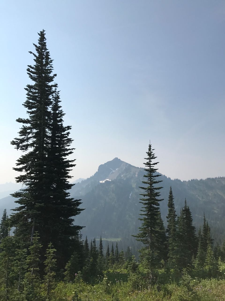 Rainier Hike 2.jpg