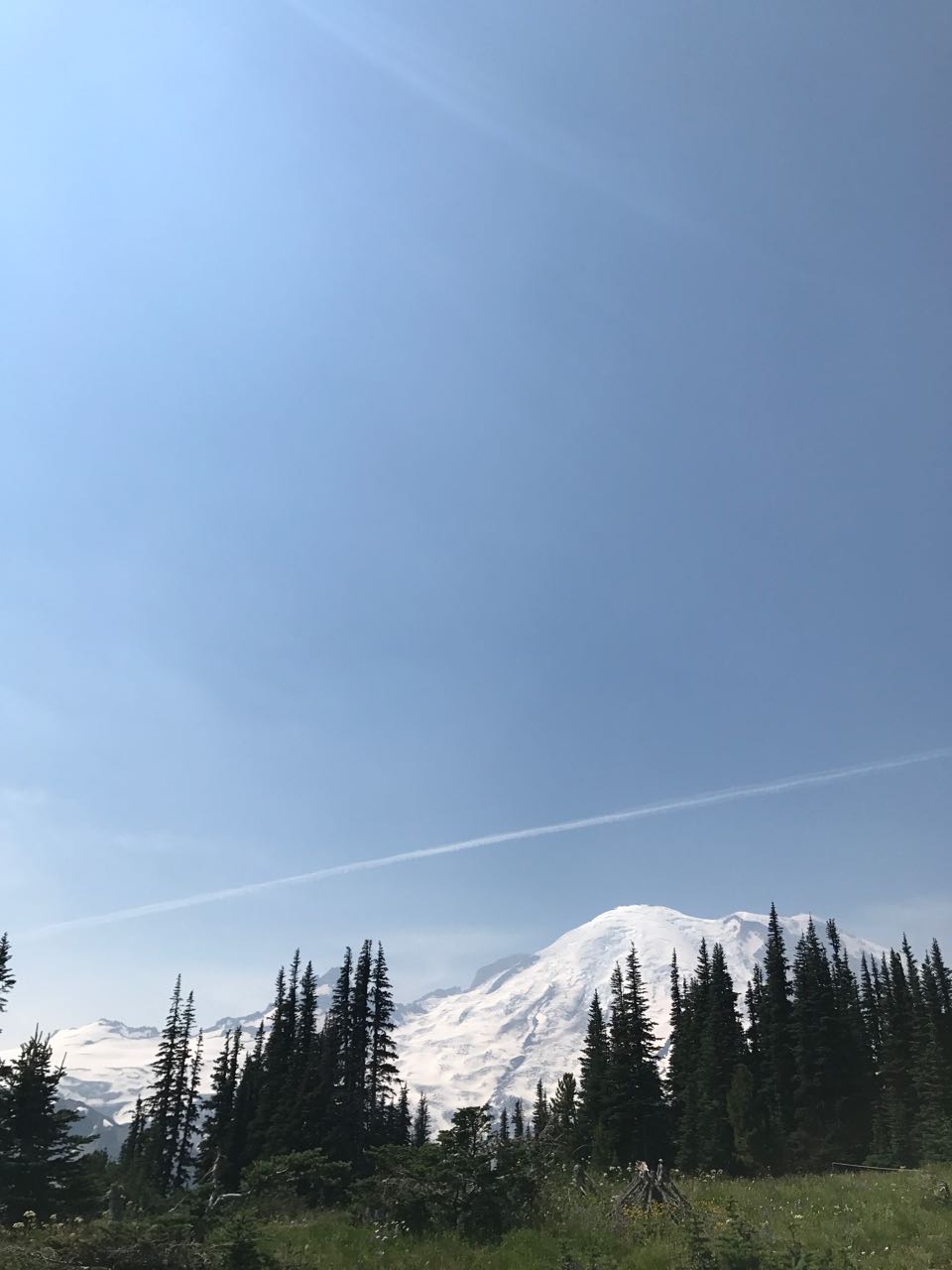 Mt Rainier view.jpg