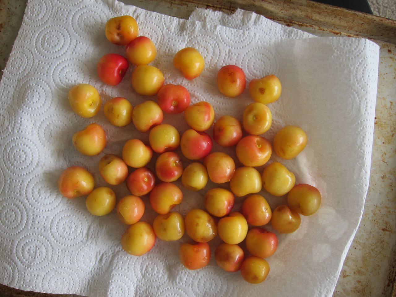 Rainier cherries