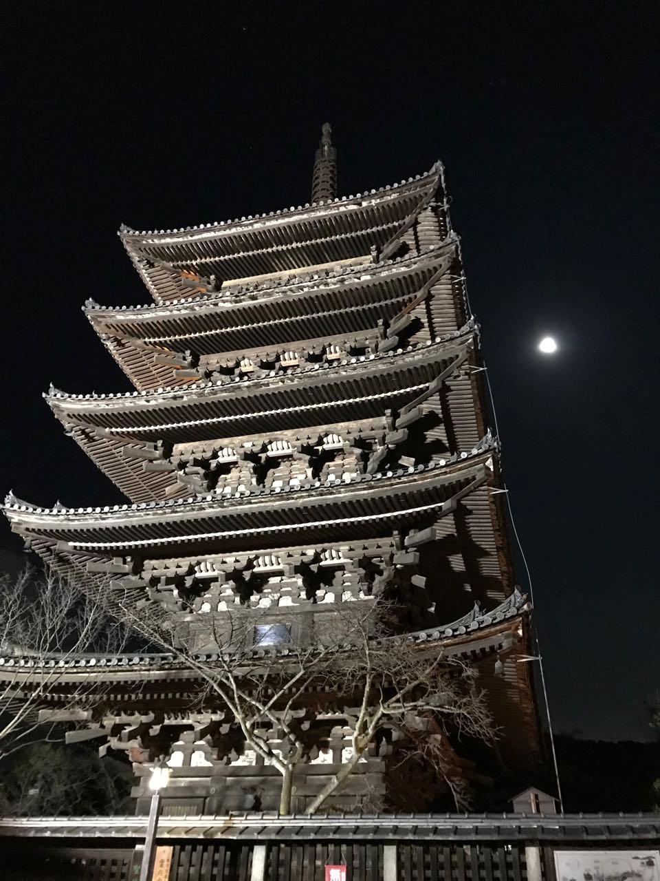 temple pagoda at night.jpg