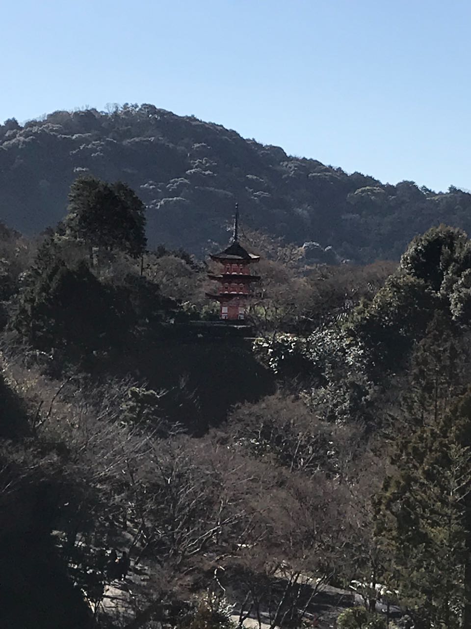 pagoda on a hill.jpg